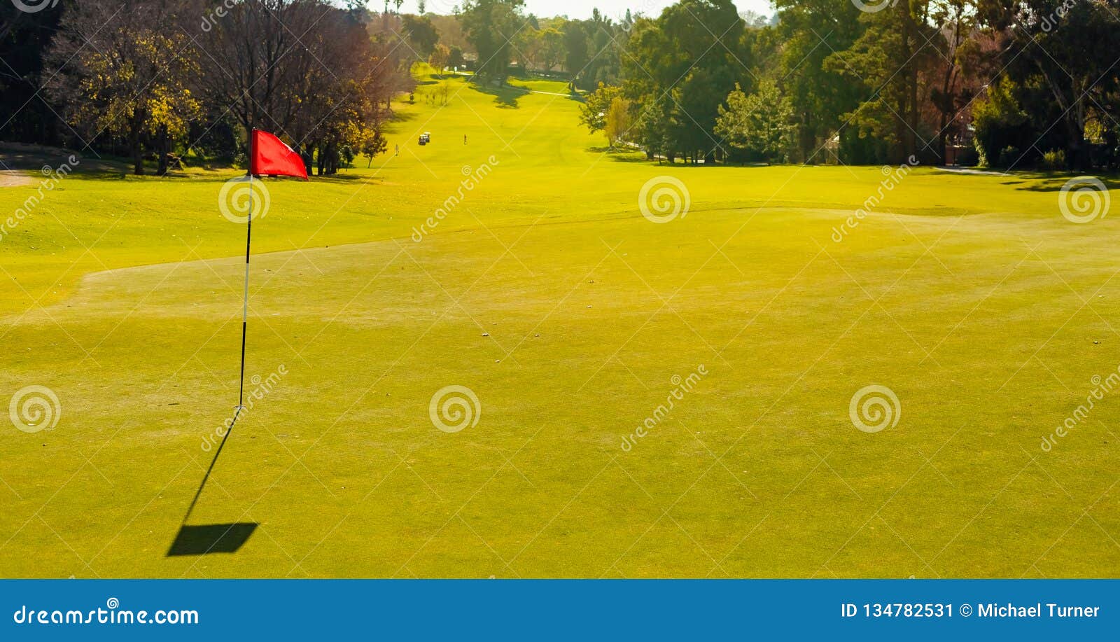 Golf Course Putting Green Hole with Flag Stock Image Image of
