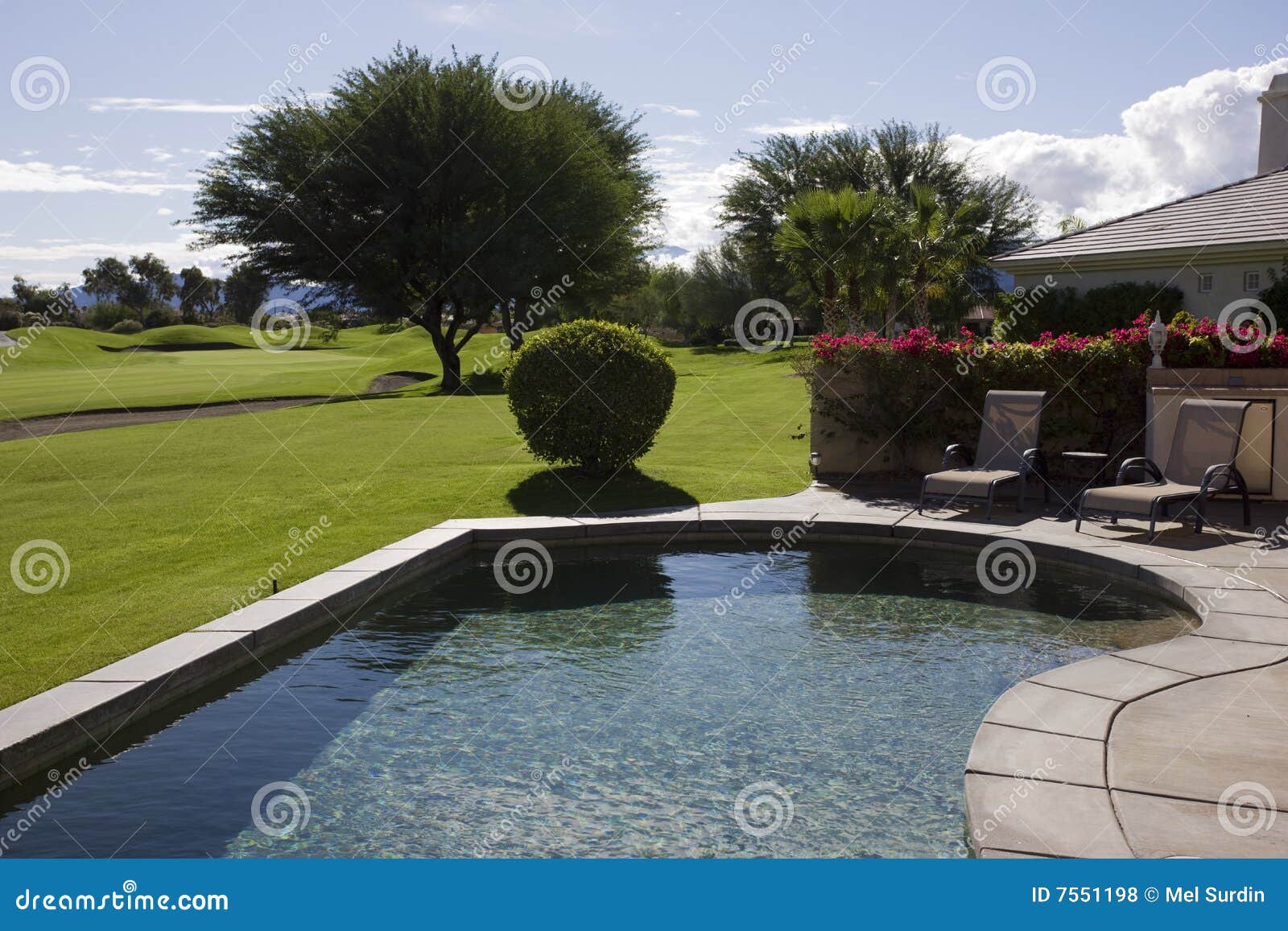 Golf Course Swimming Pool stock photo. Image of swimming 7551198