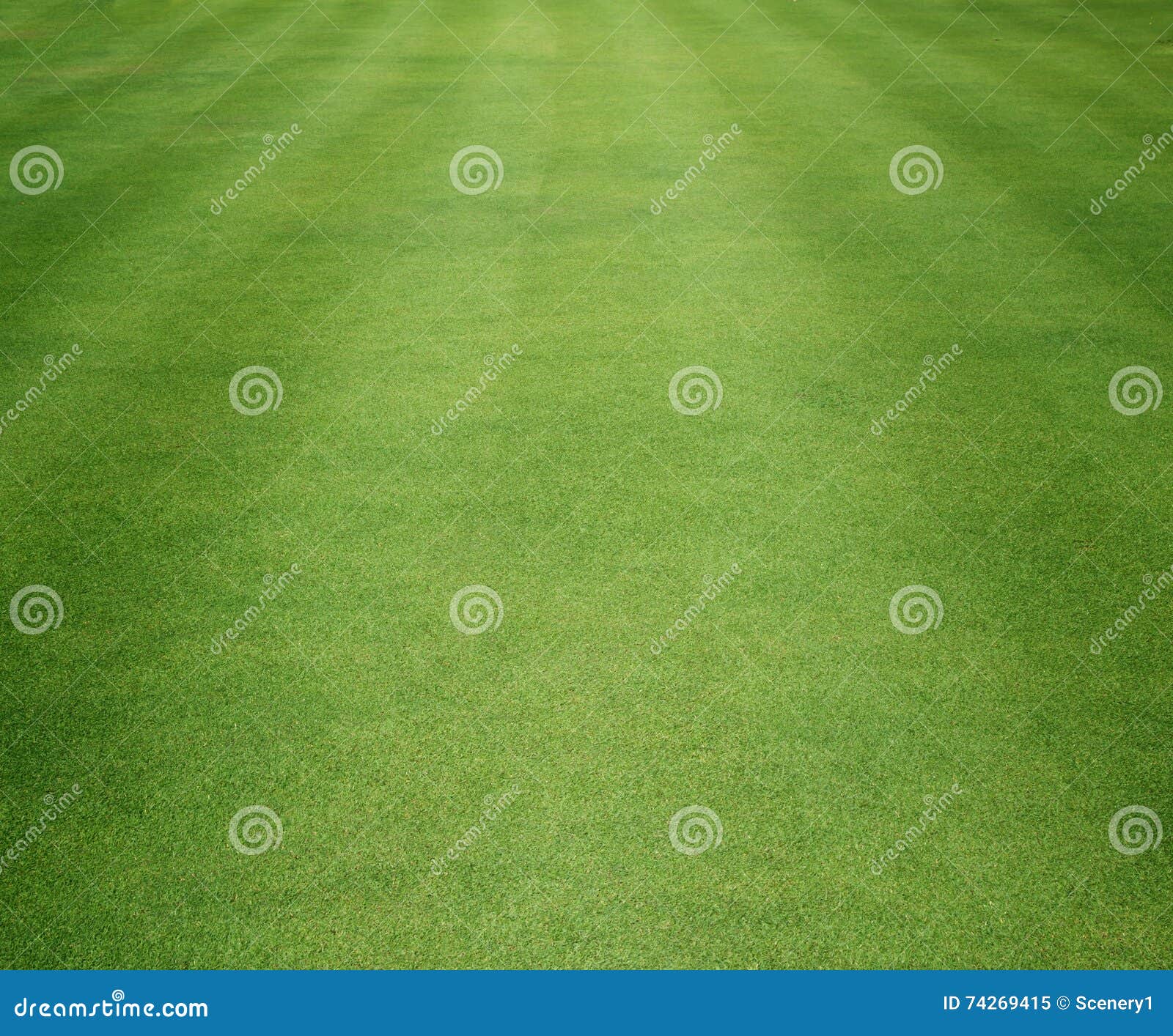 Golf Courses green lawn stock illustration. Illustration of beautiful