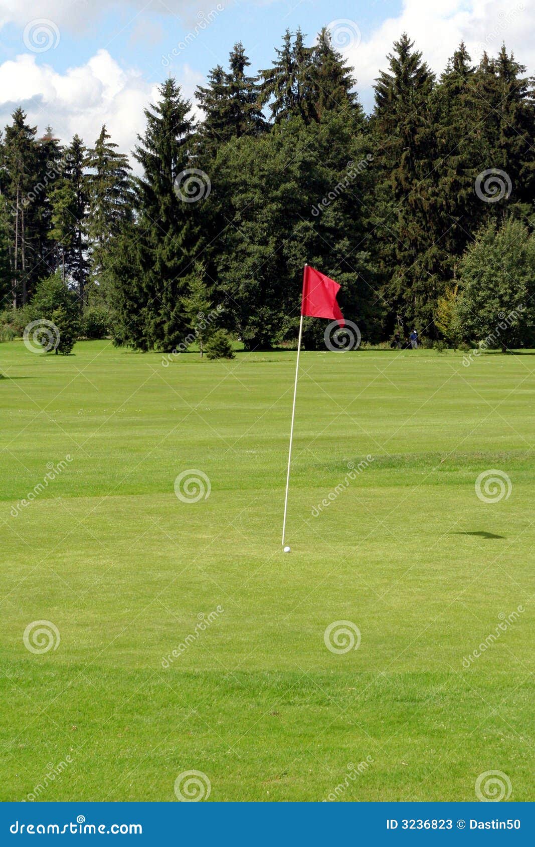Golf Cup Ball Fanion Stock Image Image Of Hole Playground