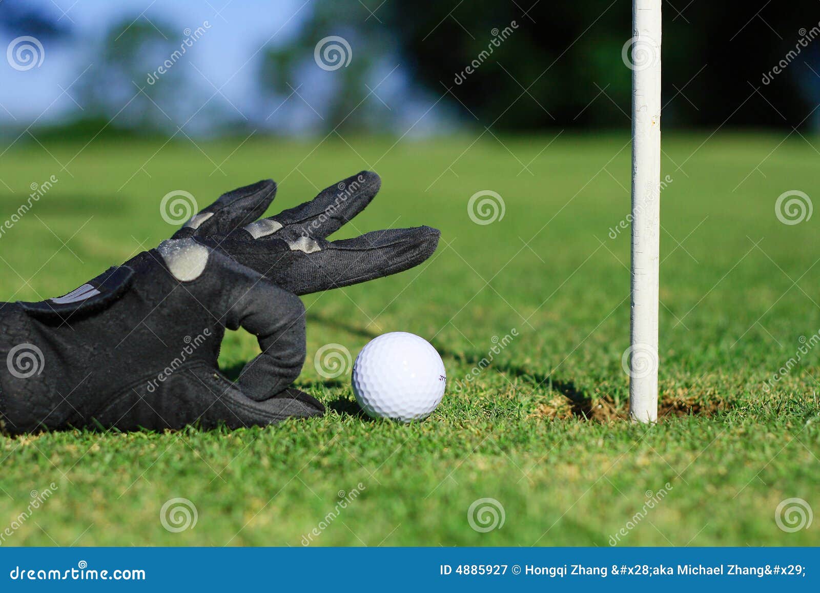 Golf Drôle Image Stock Image Du Divot Golf Pays Actif
