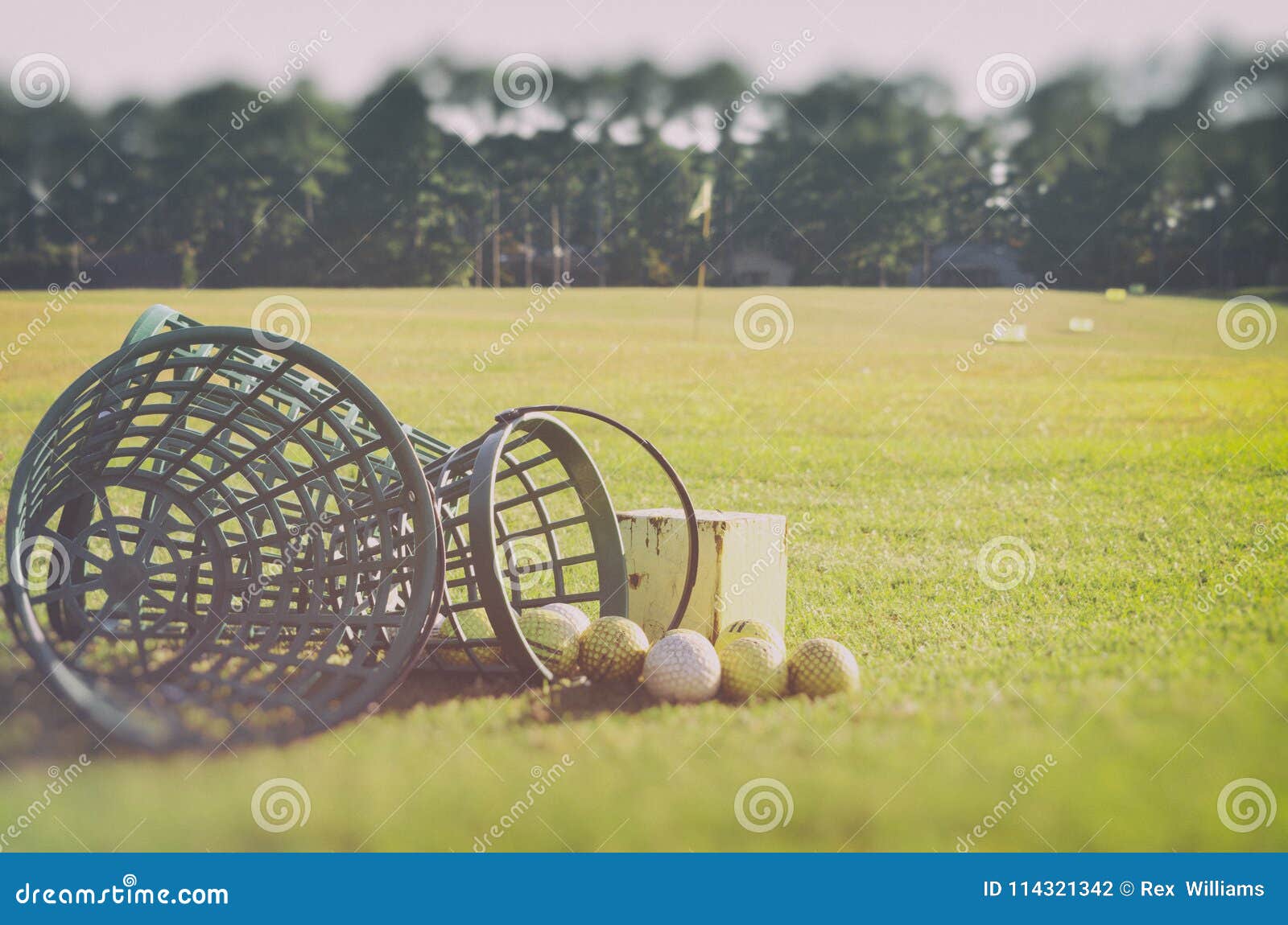 Golf at the Driving Range Basket with Golf Balls at the Rough Zone of