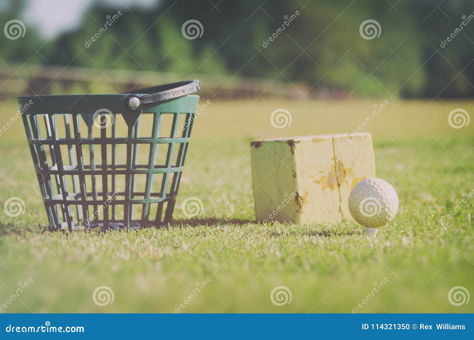 Golf at the Driving Range Basket with Golf Balls at the Rough Zone of