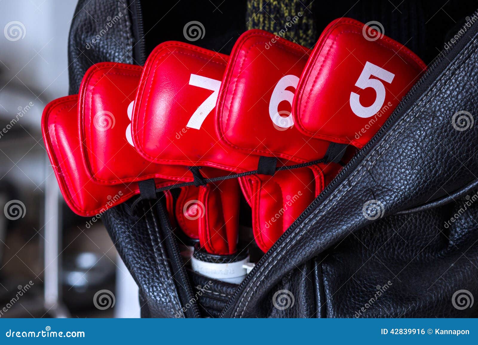 Golf equipment in a bag. stock photo. Image of baggage 42839916