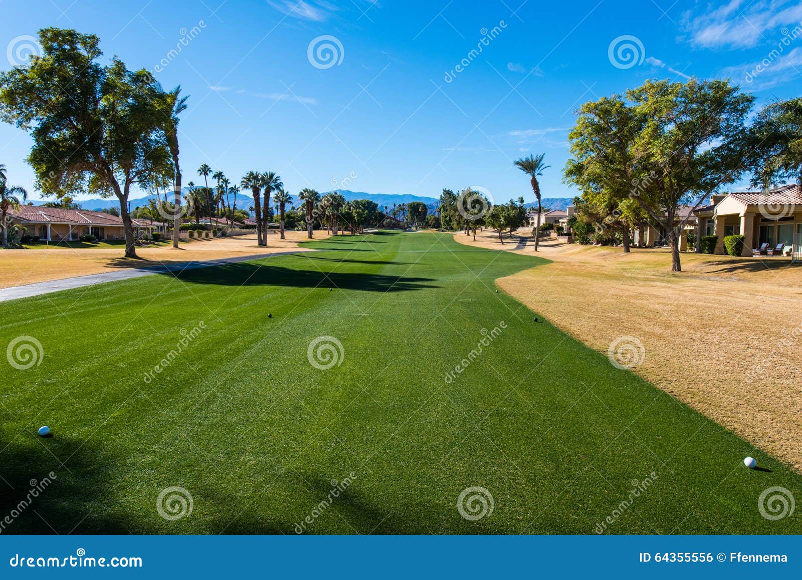 Golf Fairway is Green Surrounded by Brown Rough Stock Photo Image of