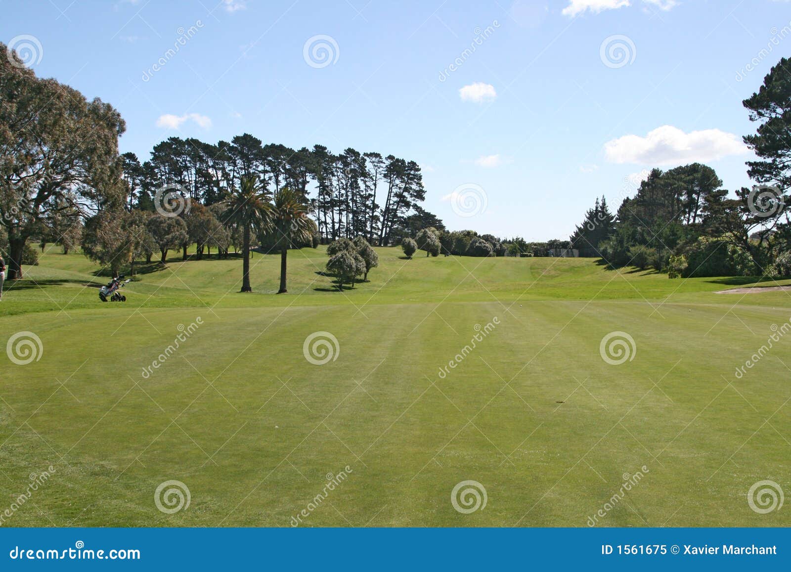 Golf green with hole and cart