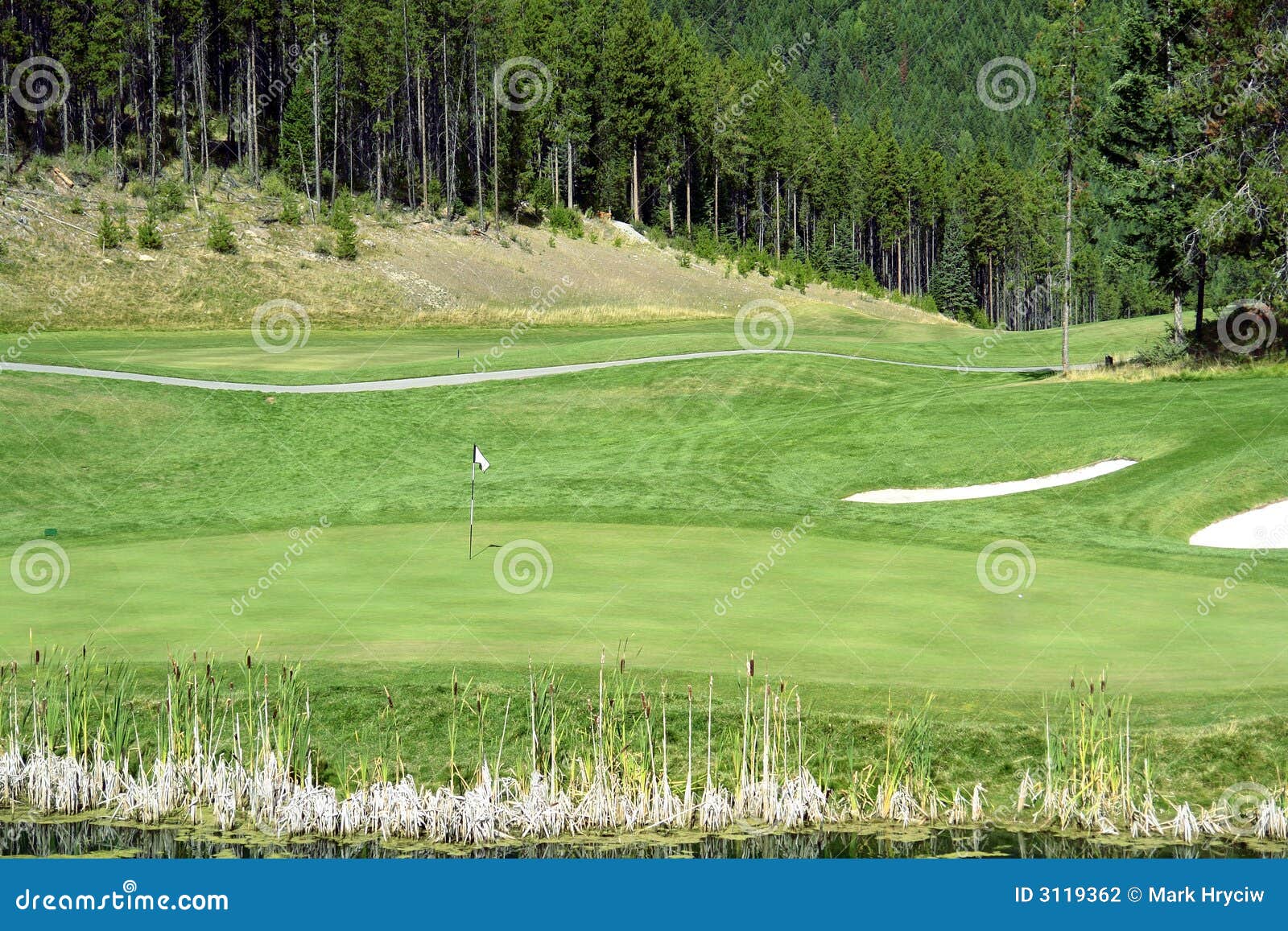 Golf Green Picture. Image 3119362