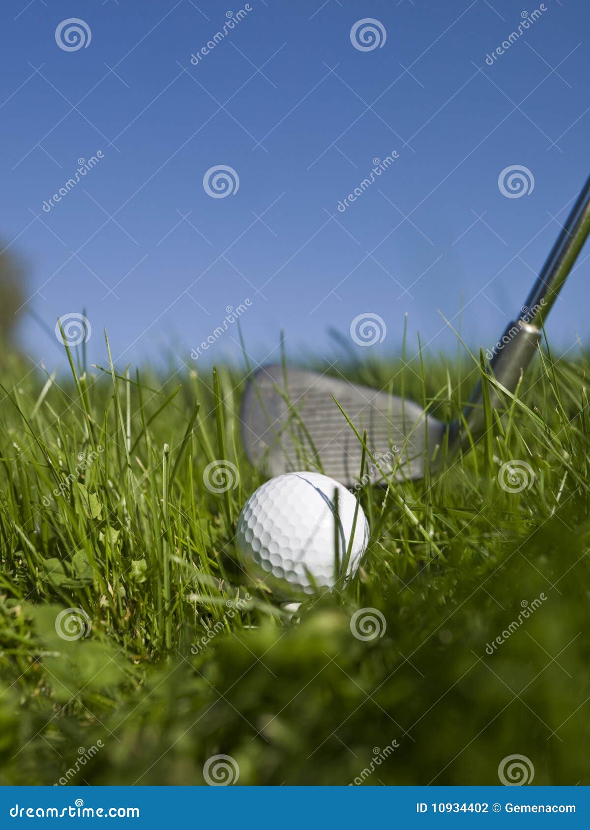 Golf in green grass stock photo. Image of color, metal 10934402