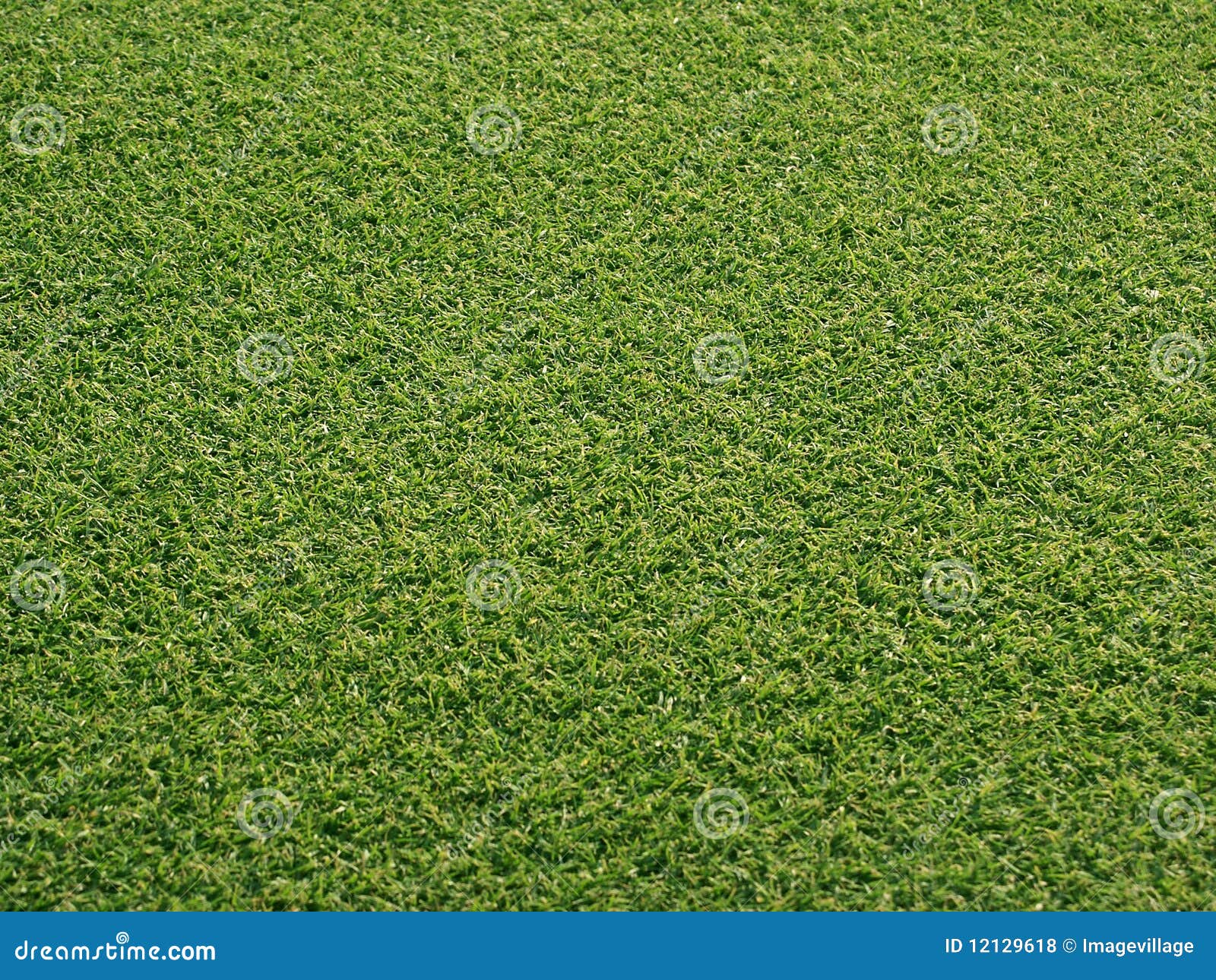 Golf greens stock photo. Image of land, line, landscape 12129618