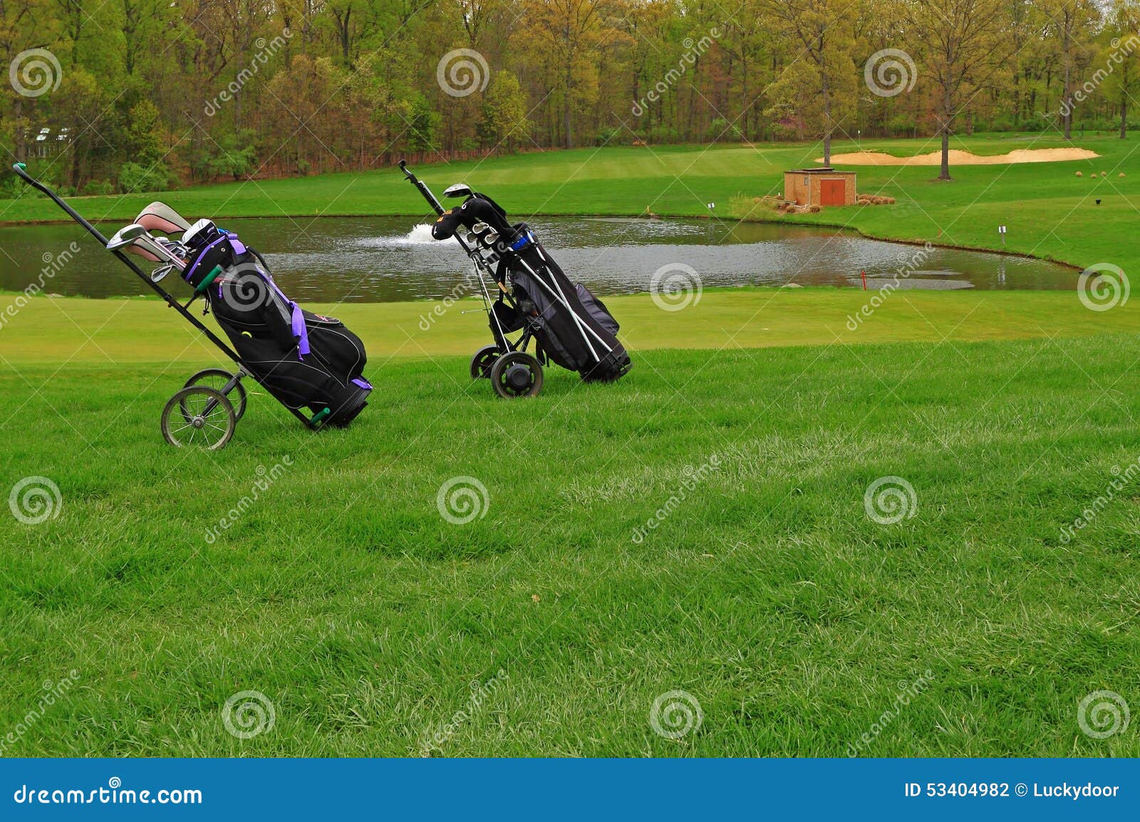 golf push carts
