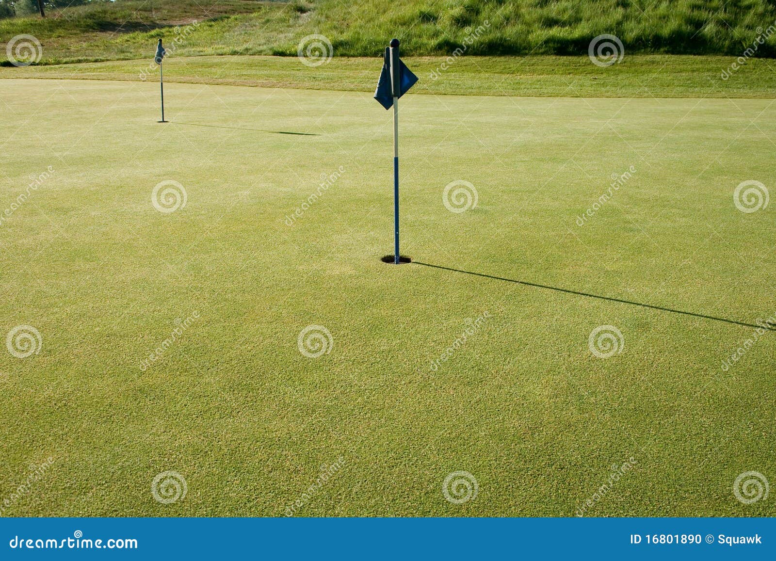 Golf Putting Green stock photo. Image of green, leisure 16801890