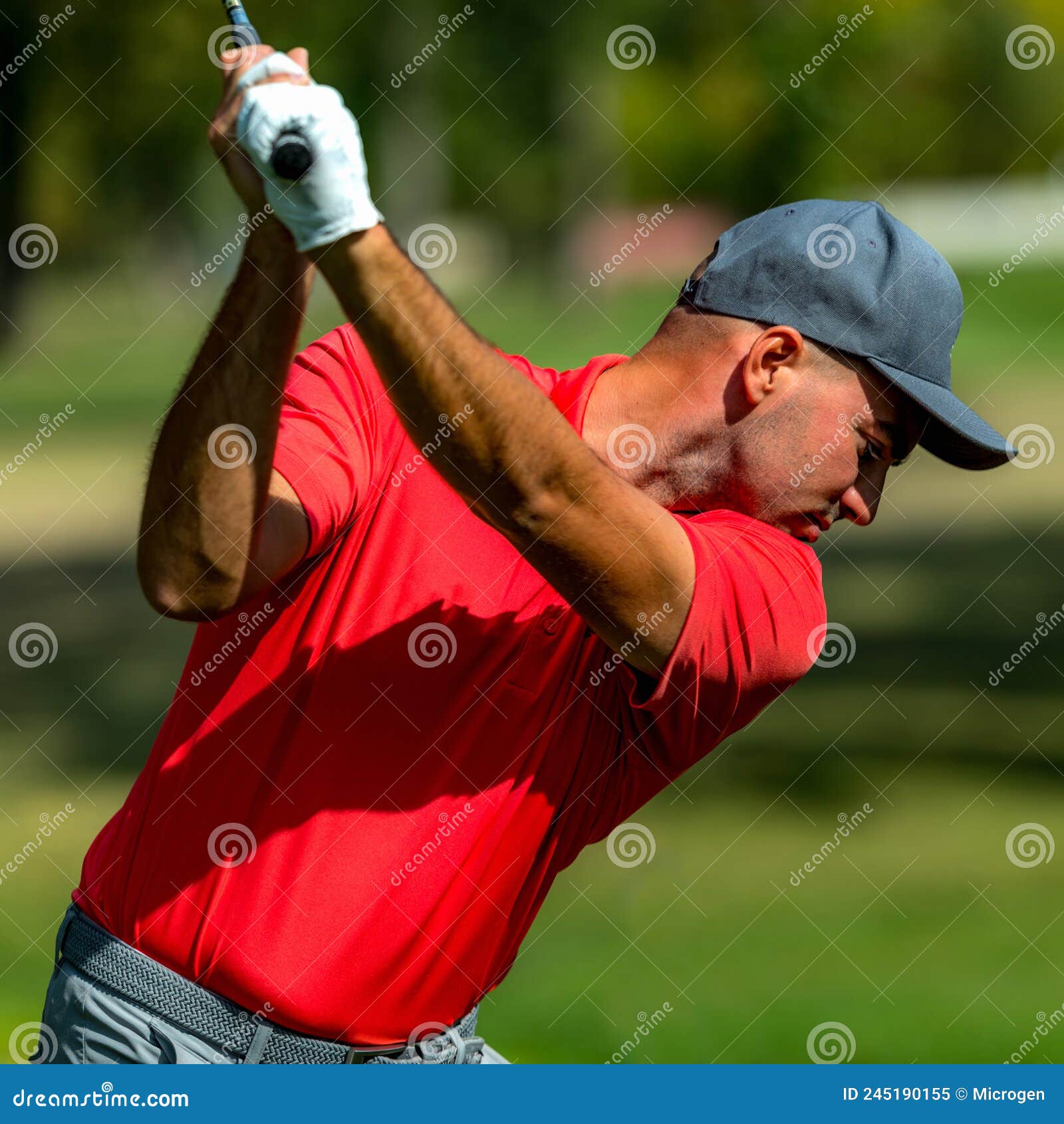 Golf Swing, Professional Golfer, Rear View Stock Image Image of golf