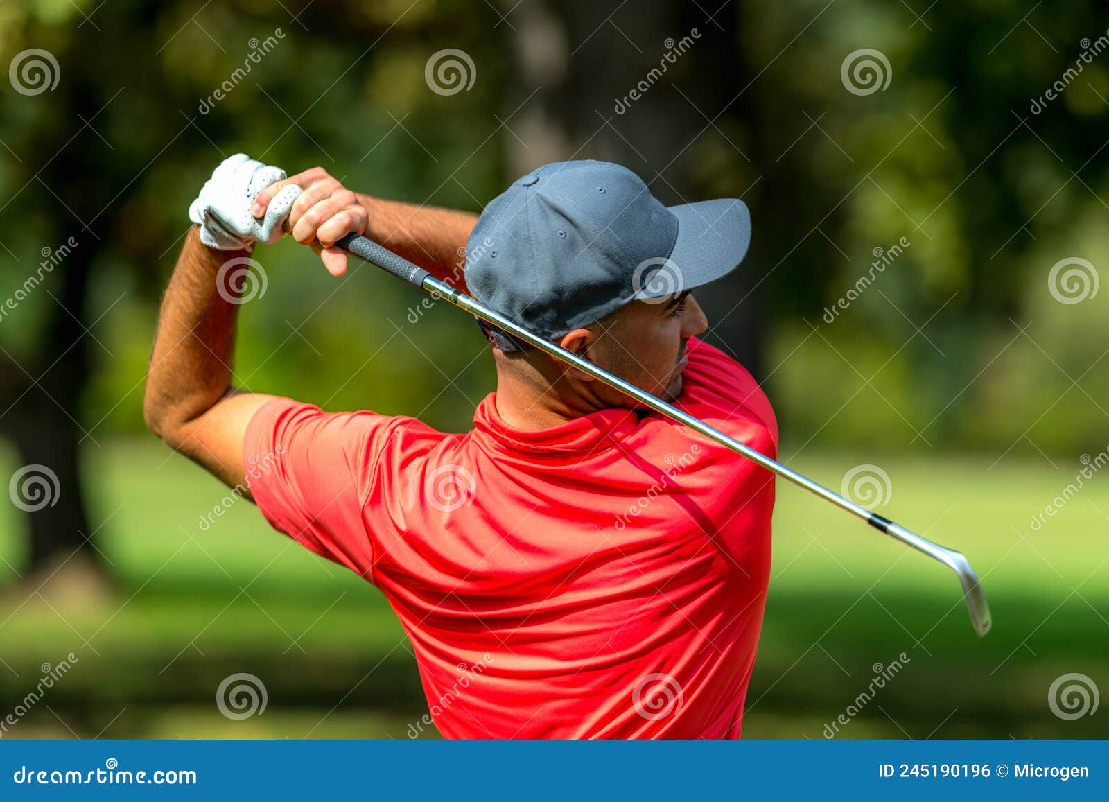 Golf Swing Rear View. Professional Golfer Finishing a Golf Swing Stock