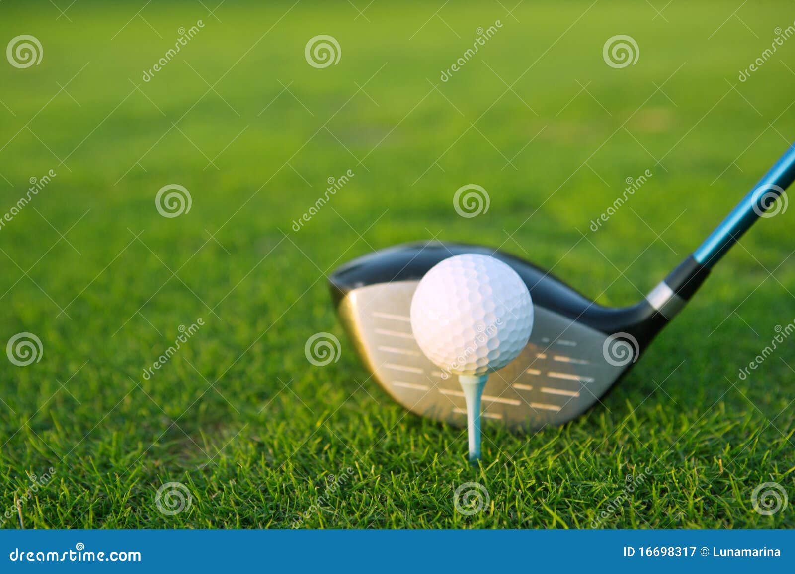 golf tee ball club driver in green grass course