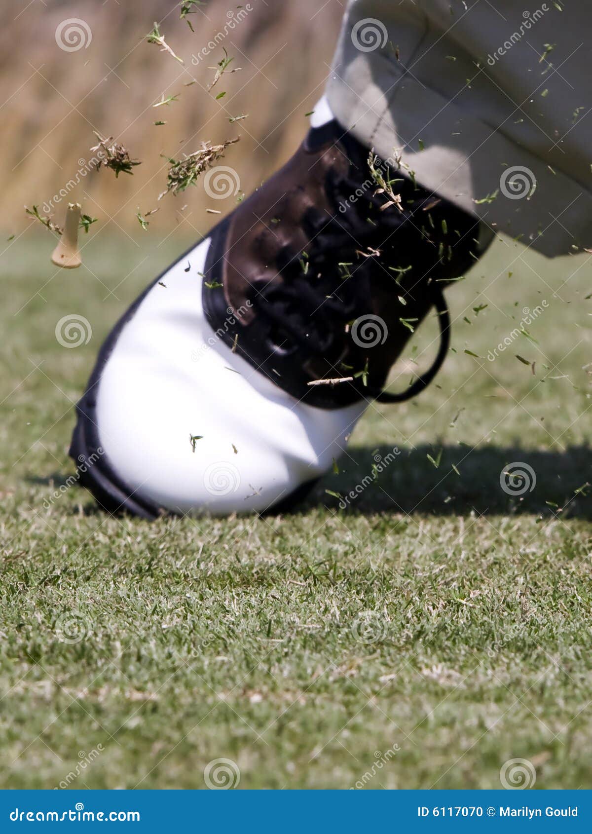 Golf Tee Flying after Impact Stock Photo Image of competition, power