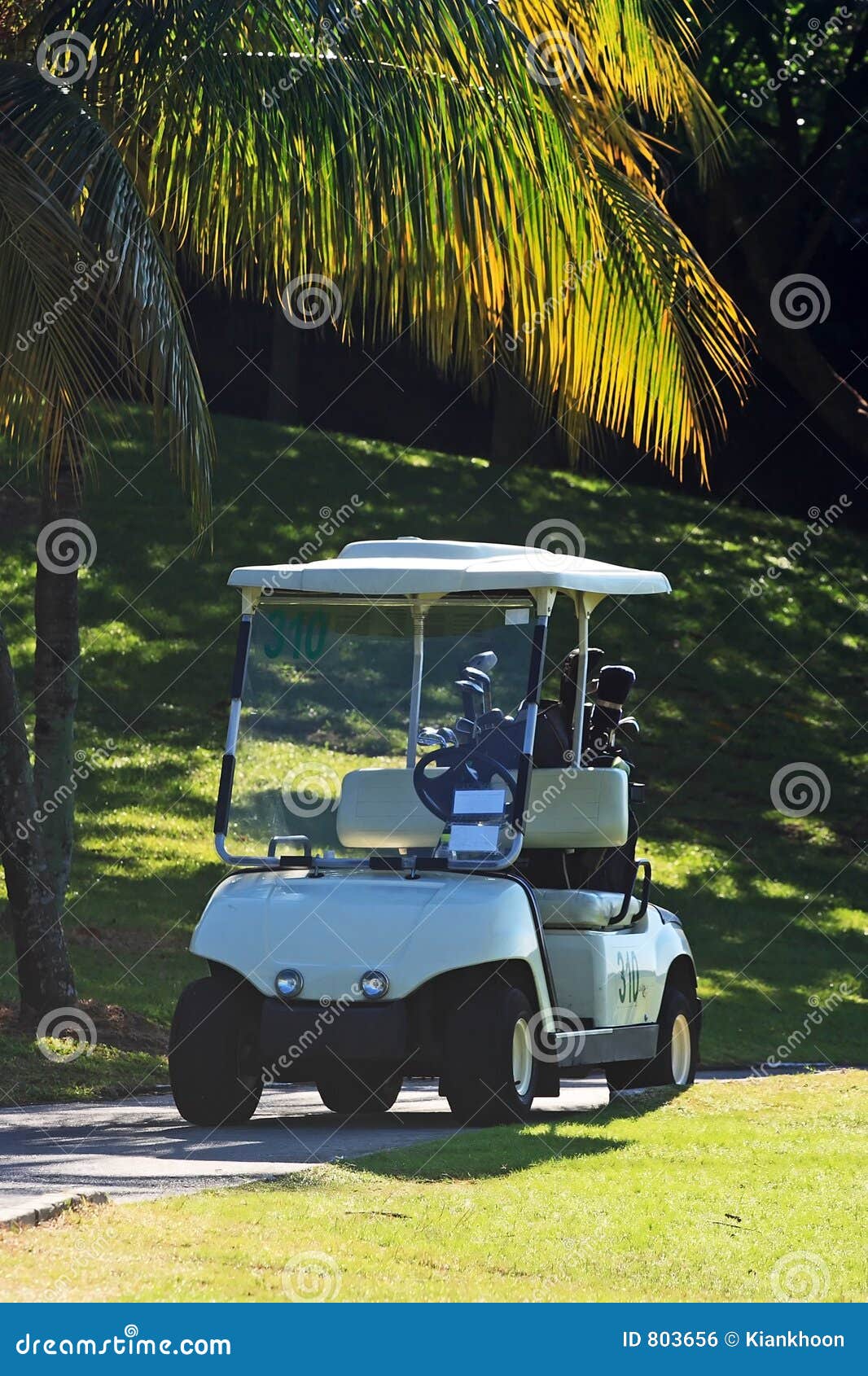 golfcart