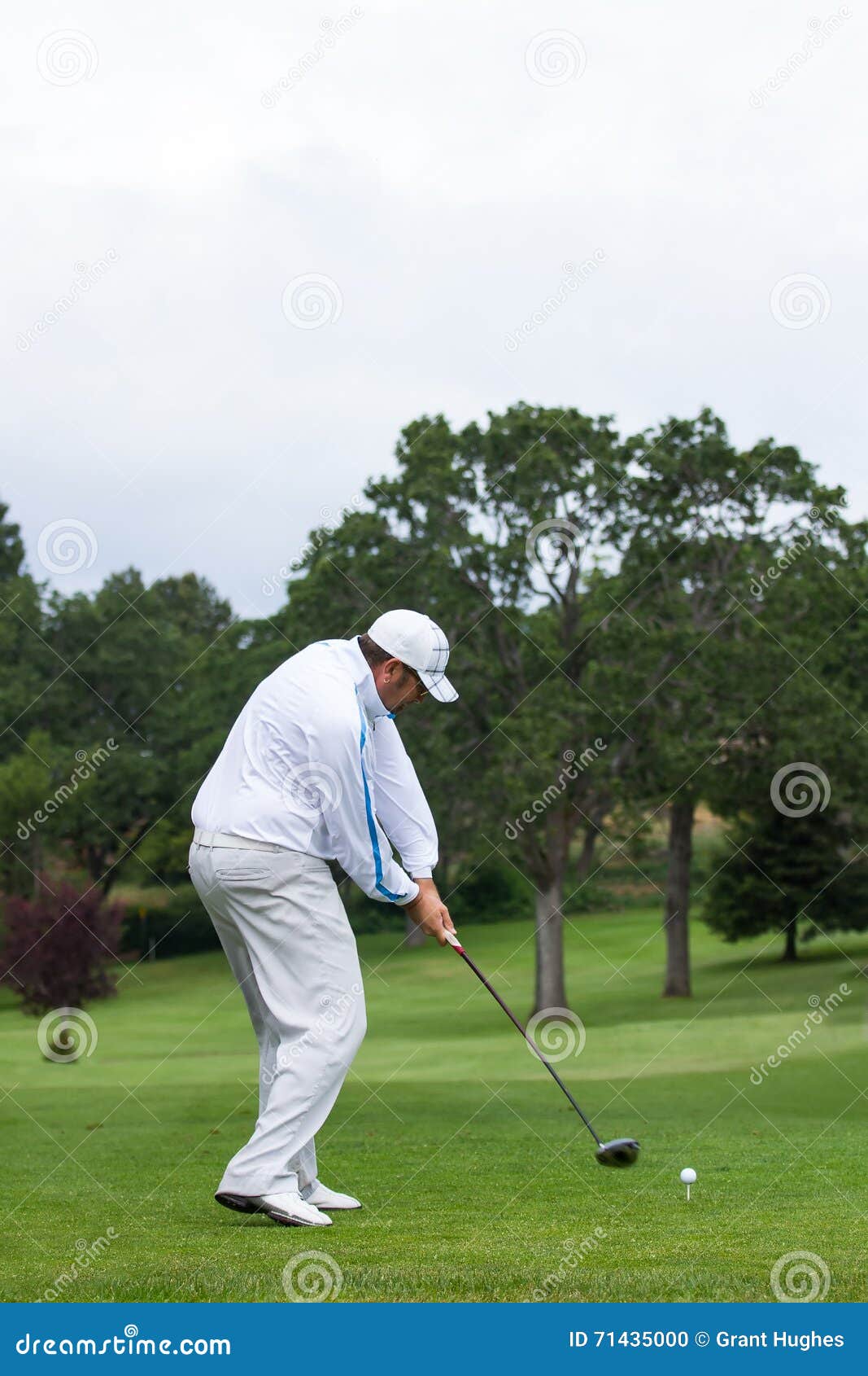 Golfer Driving Ball Off Tee Stock Photo - Image of ball, swings: 71435000