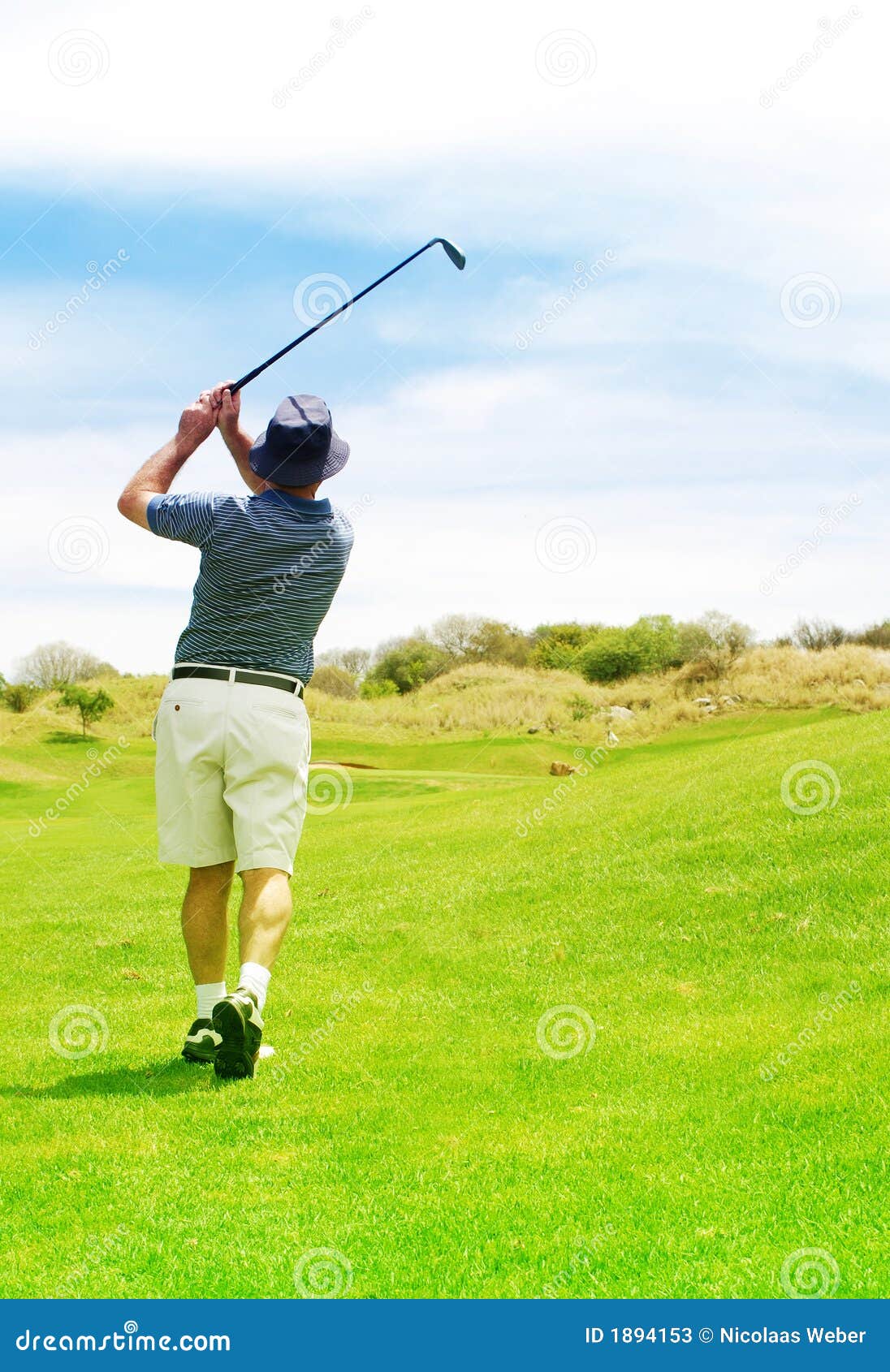 Golfer on the fairway. stock image. Image of plants, nature 1894153