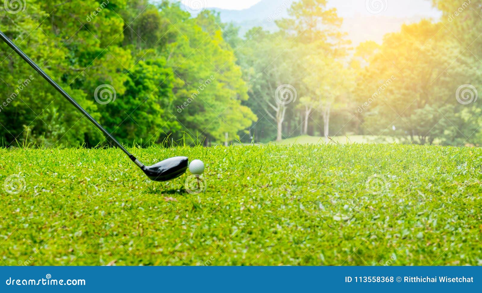 Golfer Hitting Golf Ball on Tee Off Zone in Golf Course Stock Photo