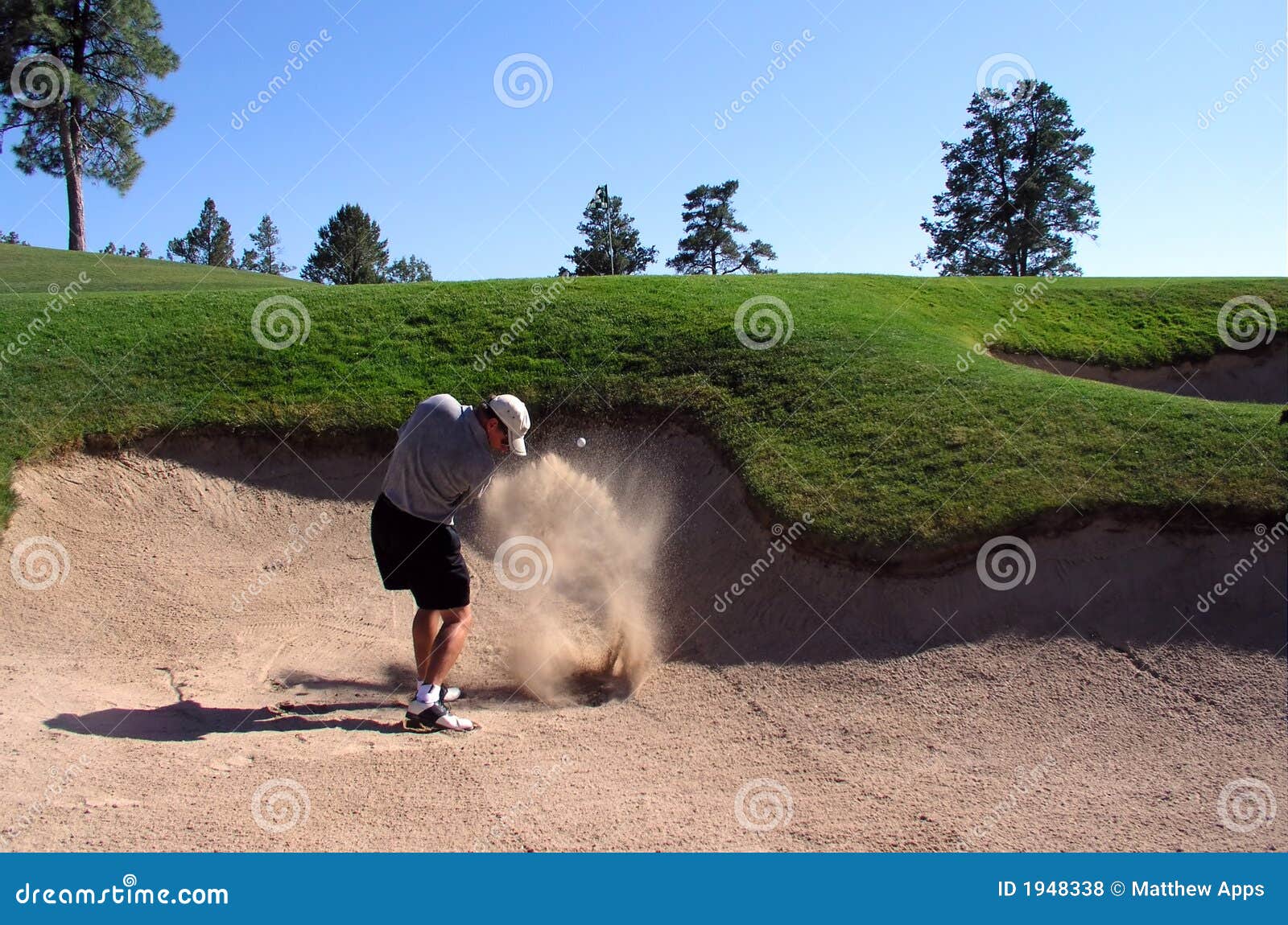 Golfer Hitting Out of a Sand Trap Stock Photo Image of male, hole