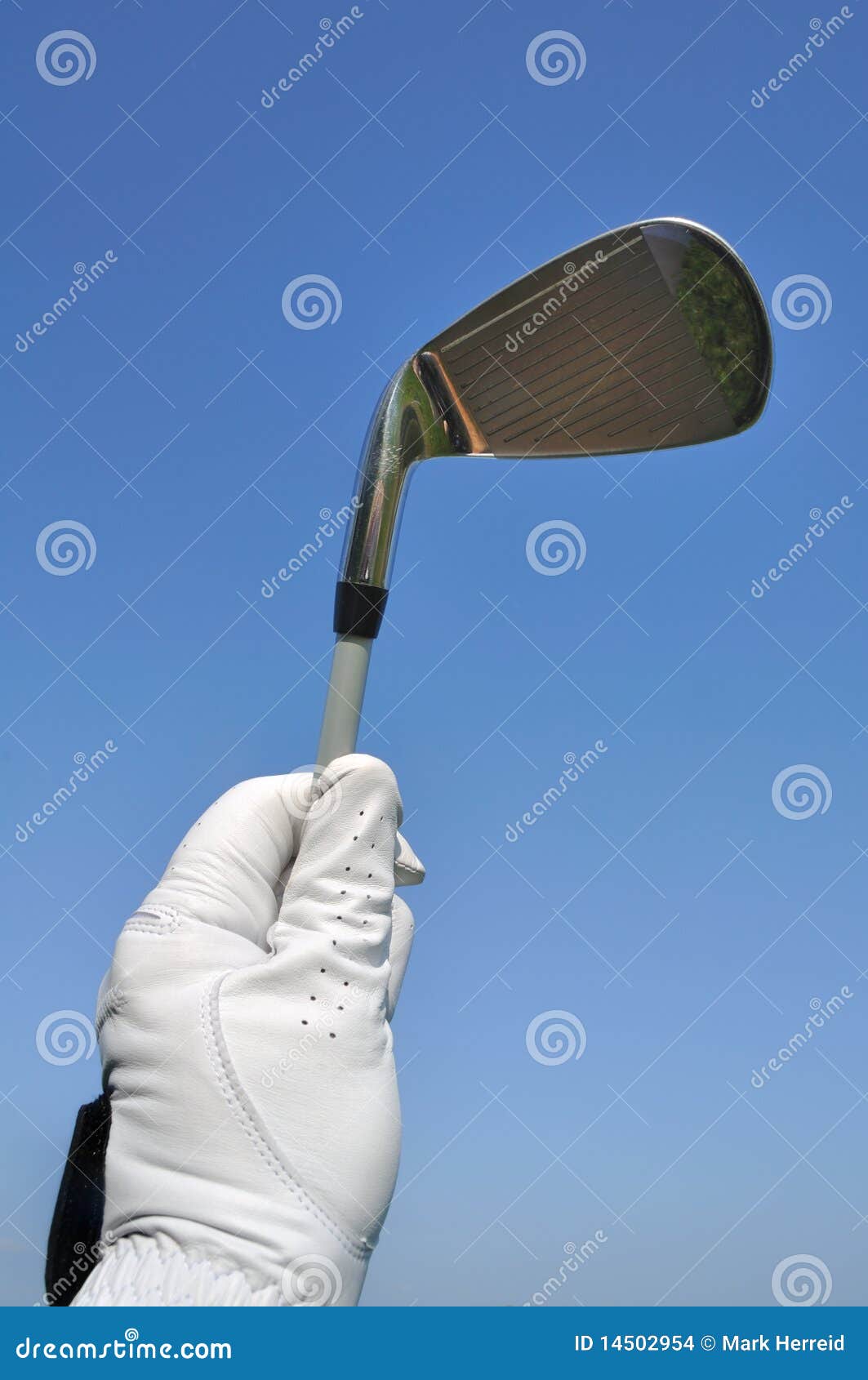Golfer Holding an Iron (Golf Club) Stock Photo Image of hold, golfing