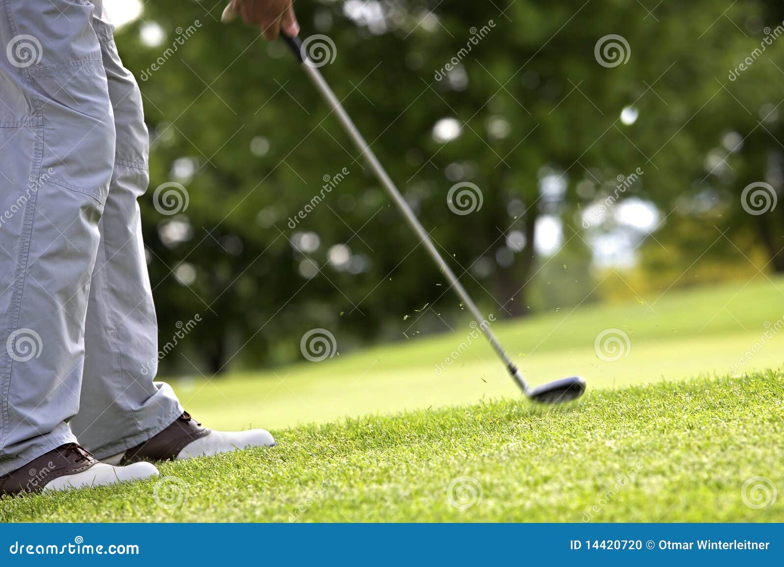 Golfer pitching stock photo. Image of player, people 14420720
