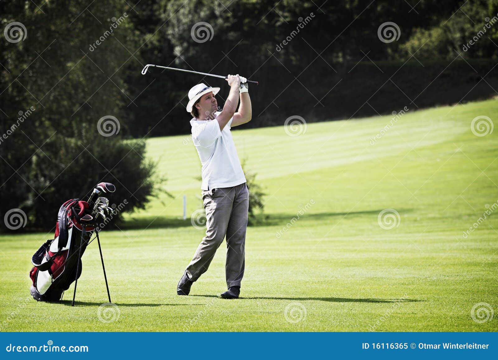 Golfer Pitching at Golf Course. Stock Image Image of golf, playing