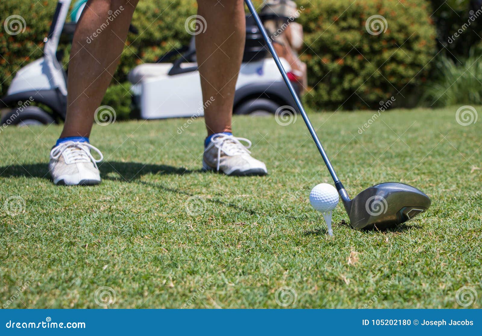Golfer Hitting Golf Ball Off Tee Stock Photo Image of driving, knot 105202180