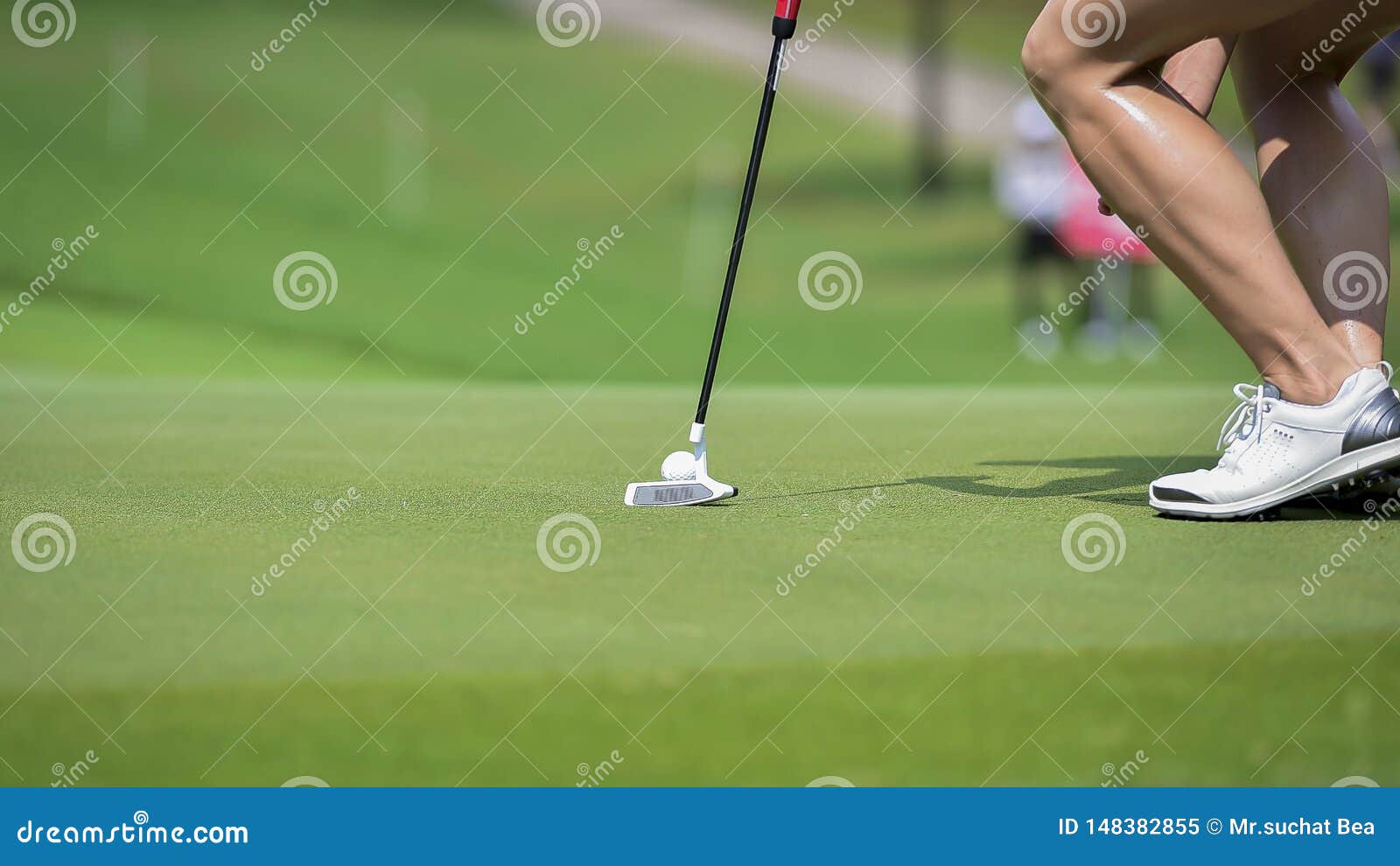 Golfer is Pushing Golf Ball by Golf Club from Tee Boxes at Golf Course