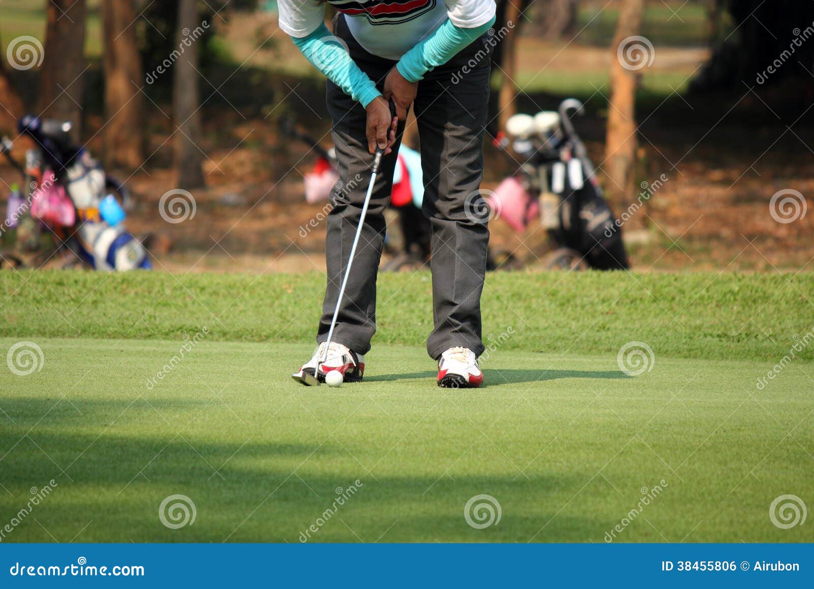Golfer Putting on the Green Stock Photo Image of ball, hobby 38455806