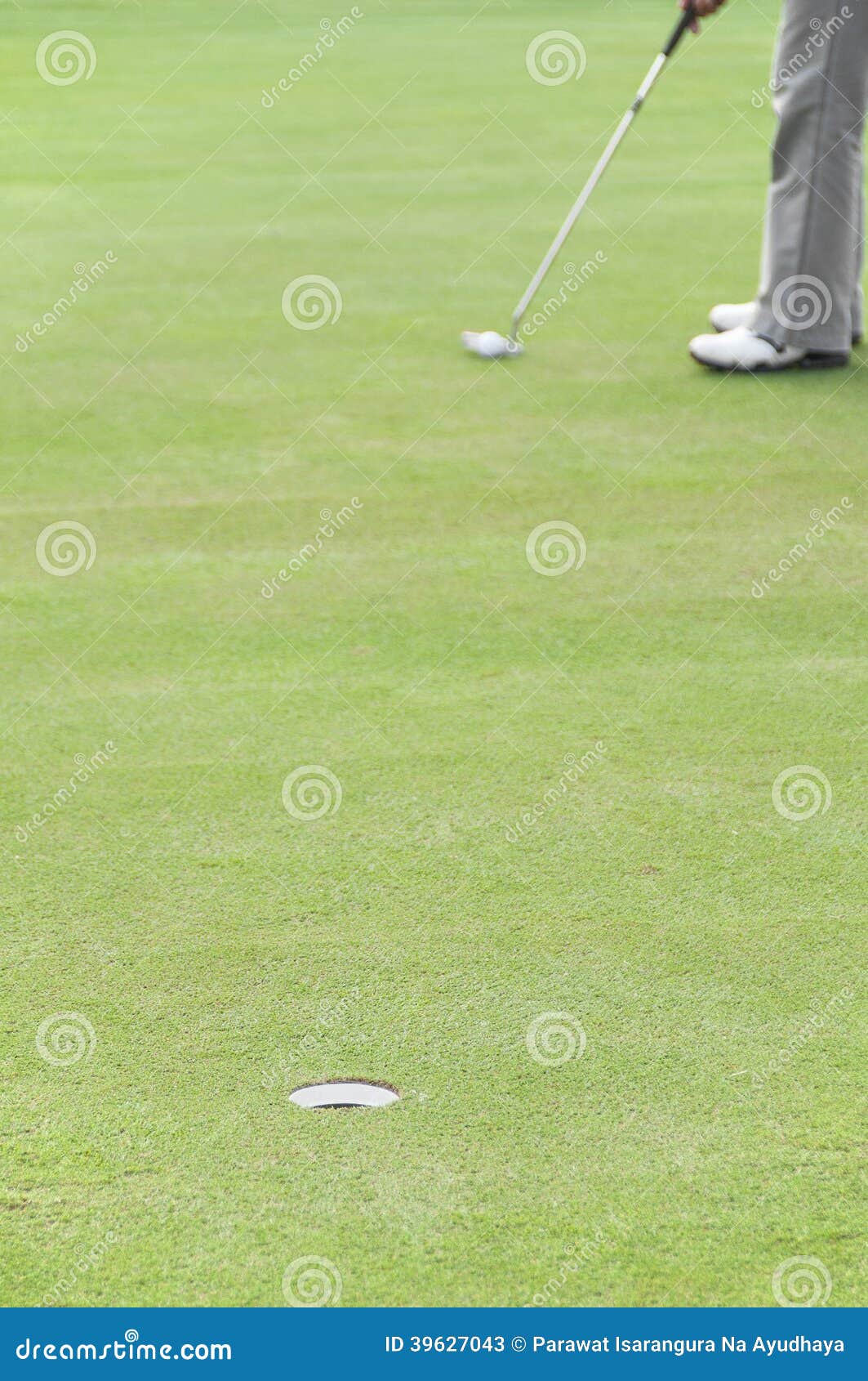 Golfer on putting green. stock image. Image of playing 39627043