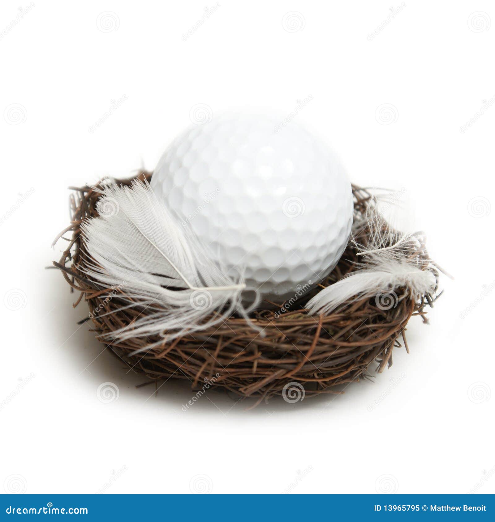 Golfer s Nest Egg stock image. Image of leisure, white 13965795
