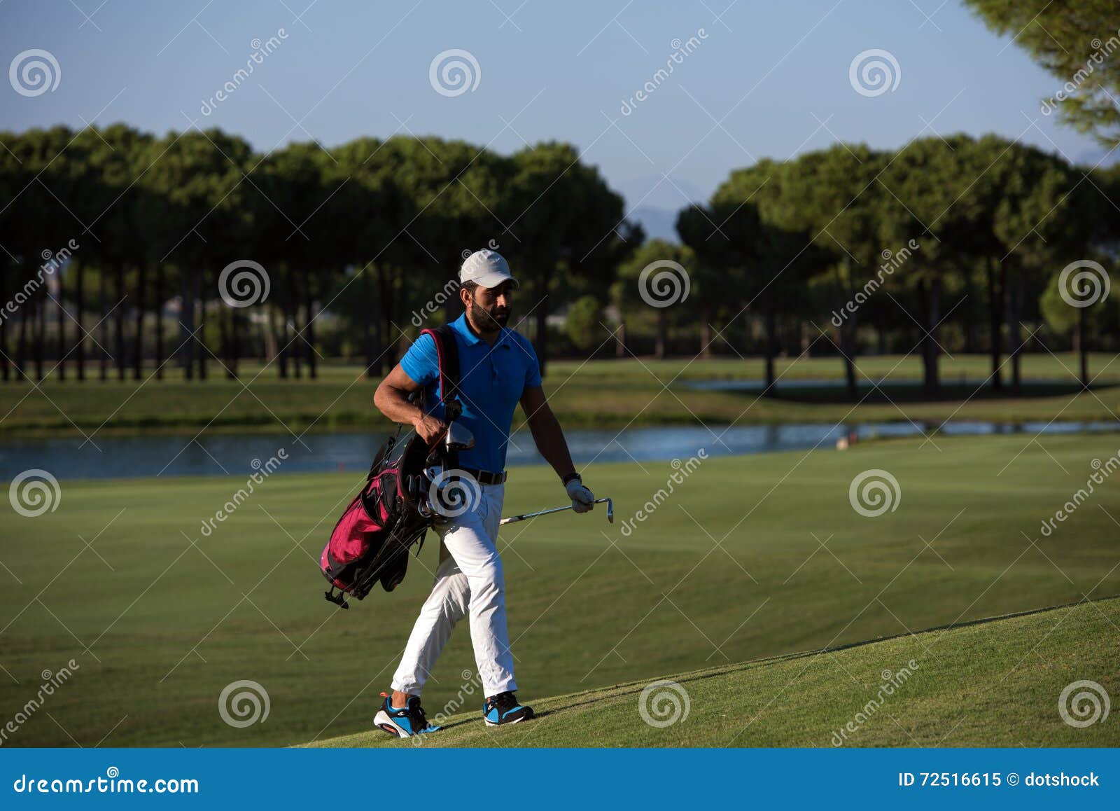 Golfer Walking and Carrying Bag Stock Image Image of carry, male