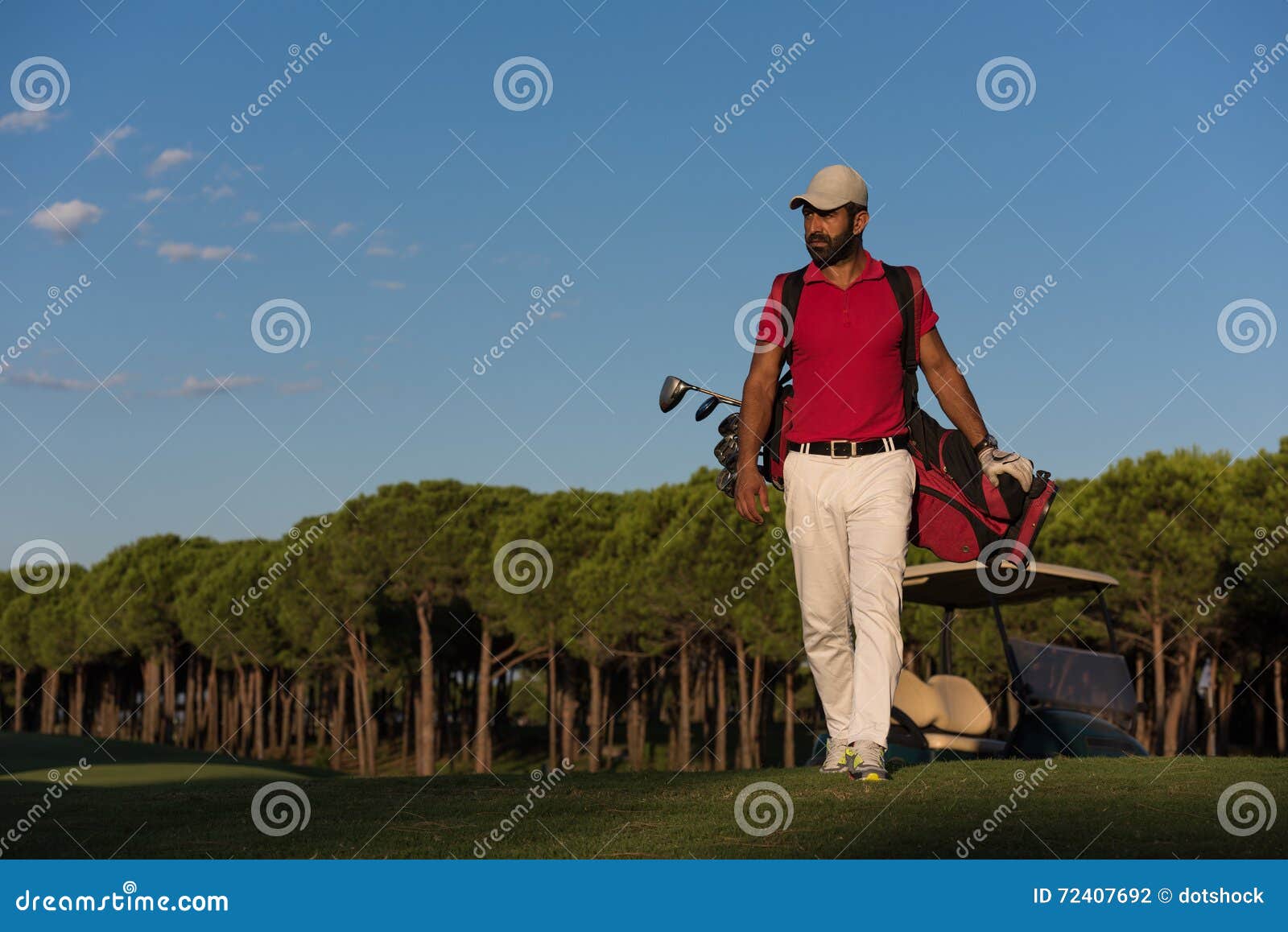 Golfer Walking and Carrying Golf Bag Stock Photo Image of fairway