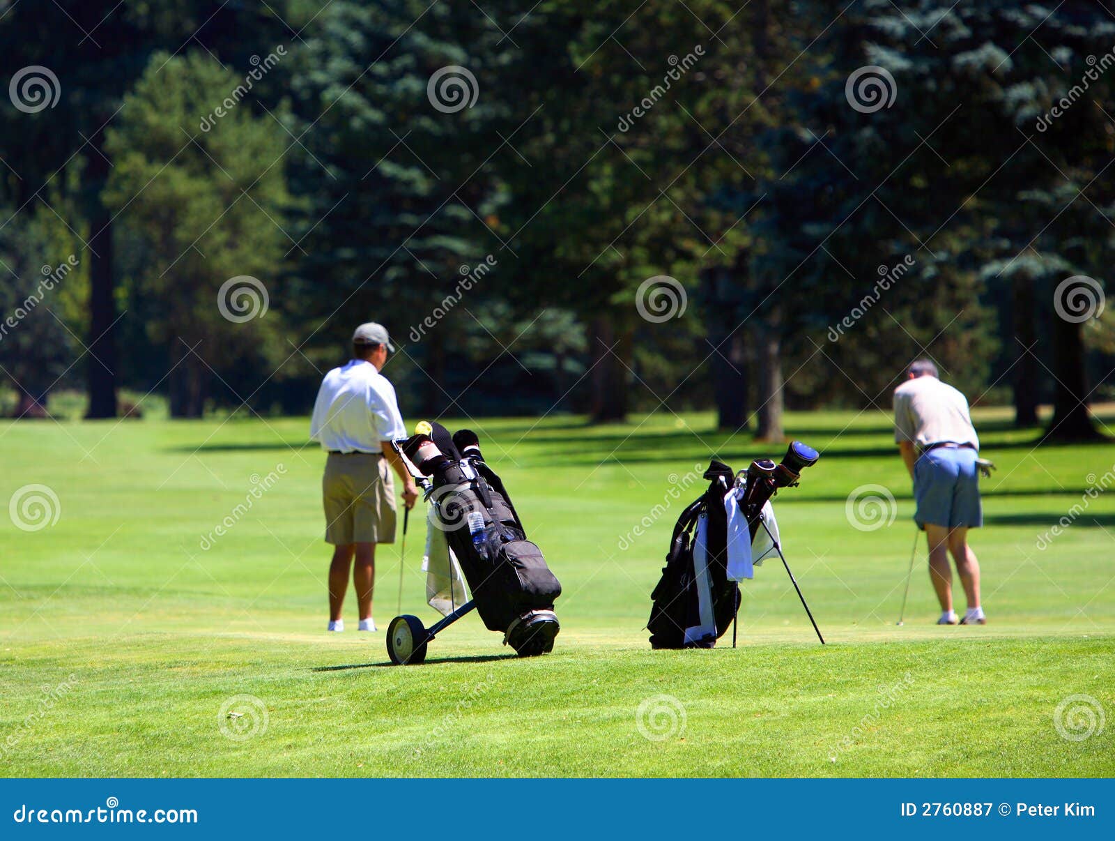 Golfers on the green stock image. Image of sport, dude 2760887
