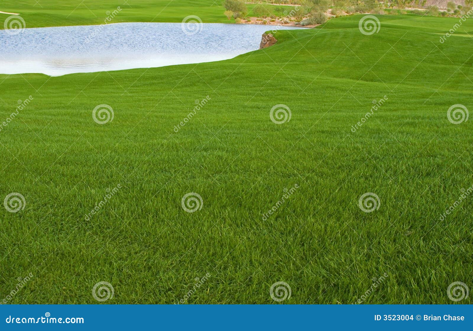 Golfplatz und ein Teich (hellgrünes Gras