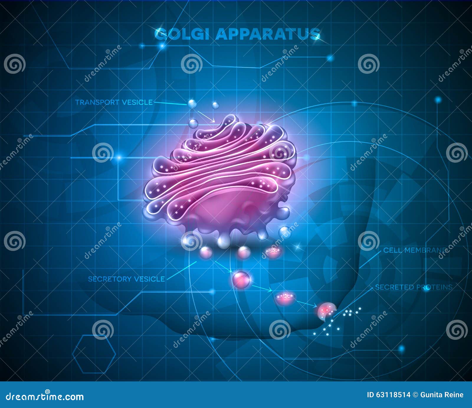 golgi apparatus abstract technology background