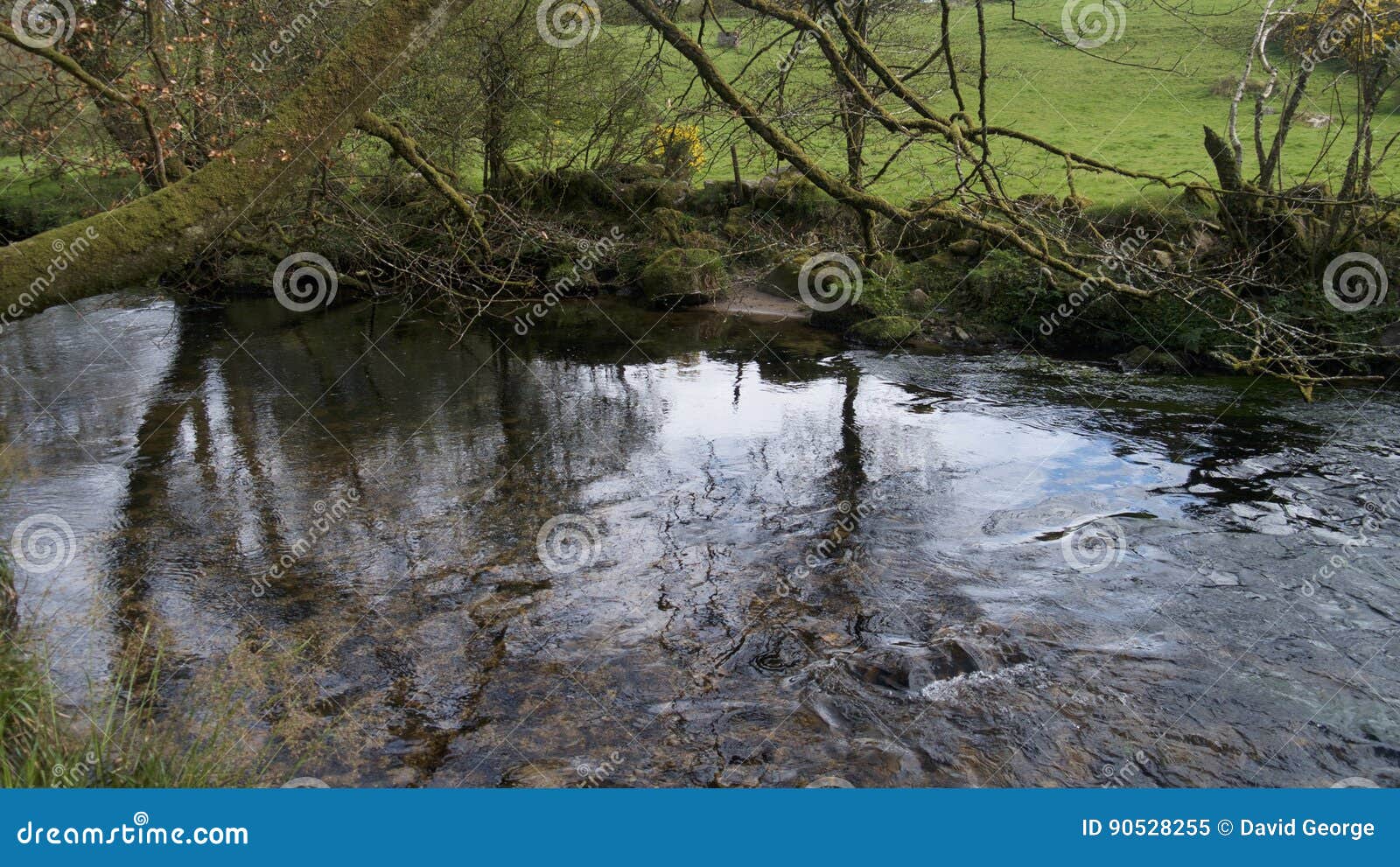 Golitha Falls, Bodmin Moor, Cornwall, UK Stock Image Image of nature