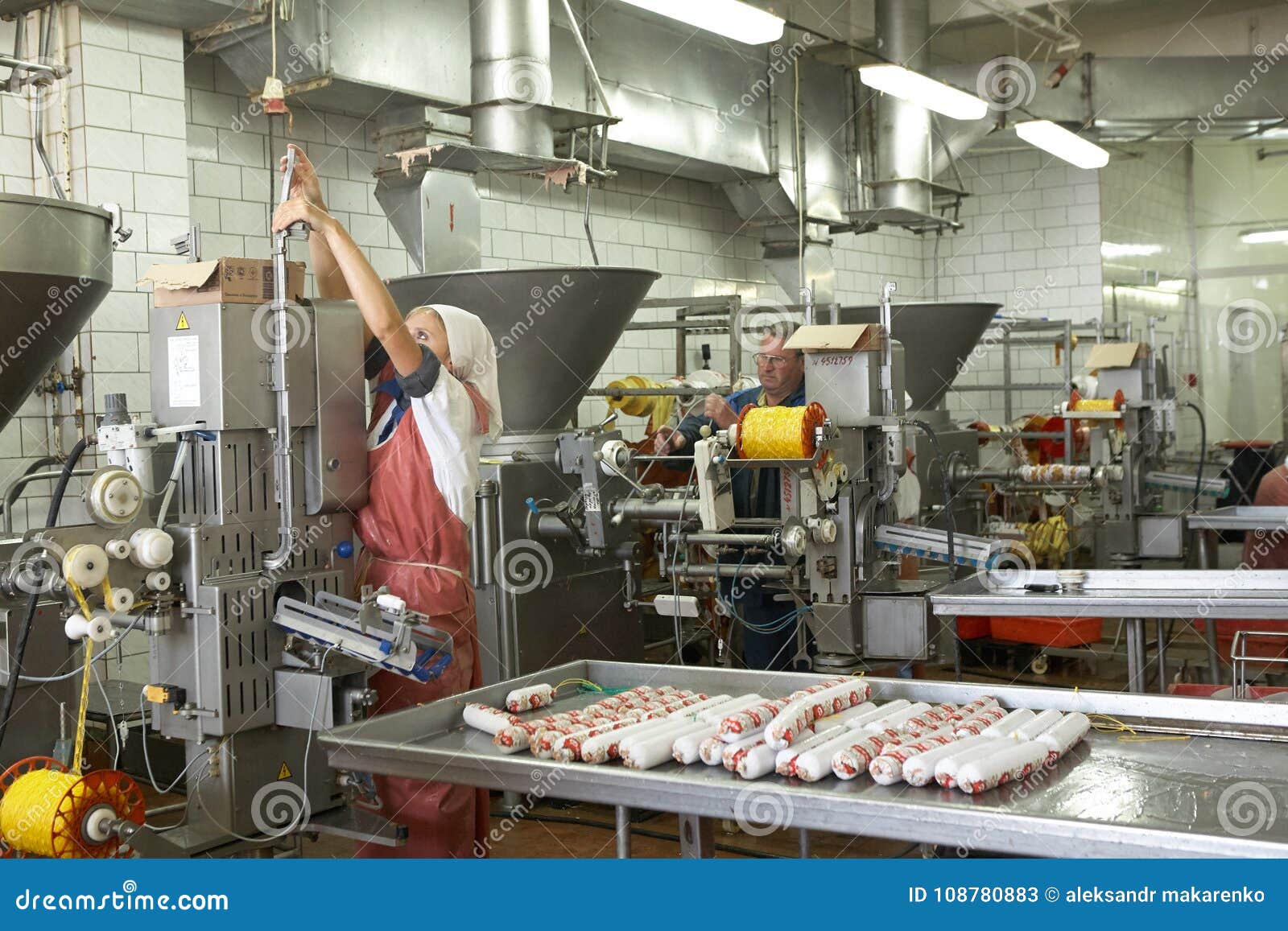 GOMEL, BELARUS - 22, 2011: the Meat Processing Plant. Processing of Pork and Beef. Machines, Mechanisms and Equipment. Editorial Stock Photo Image of fresh, industrial: 108780883