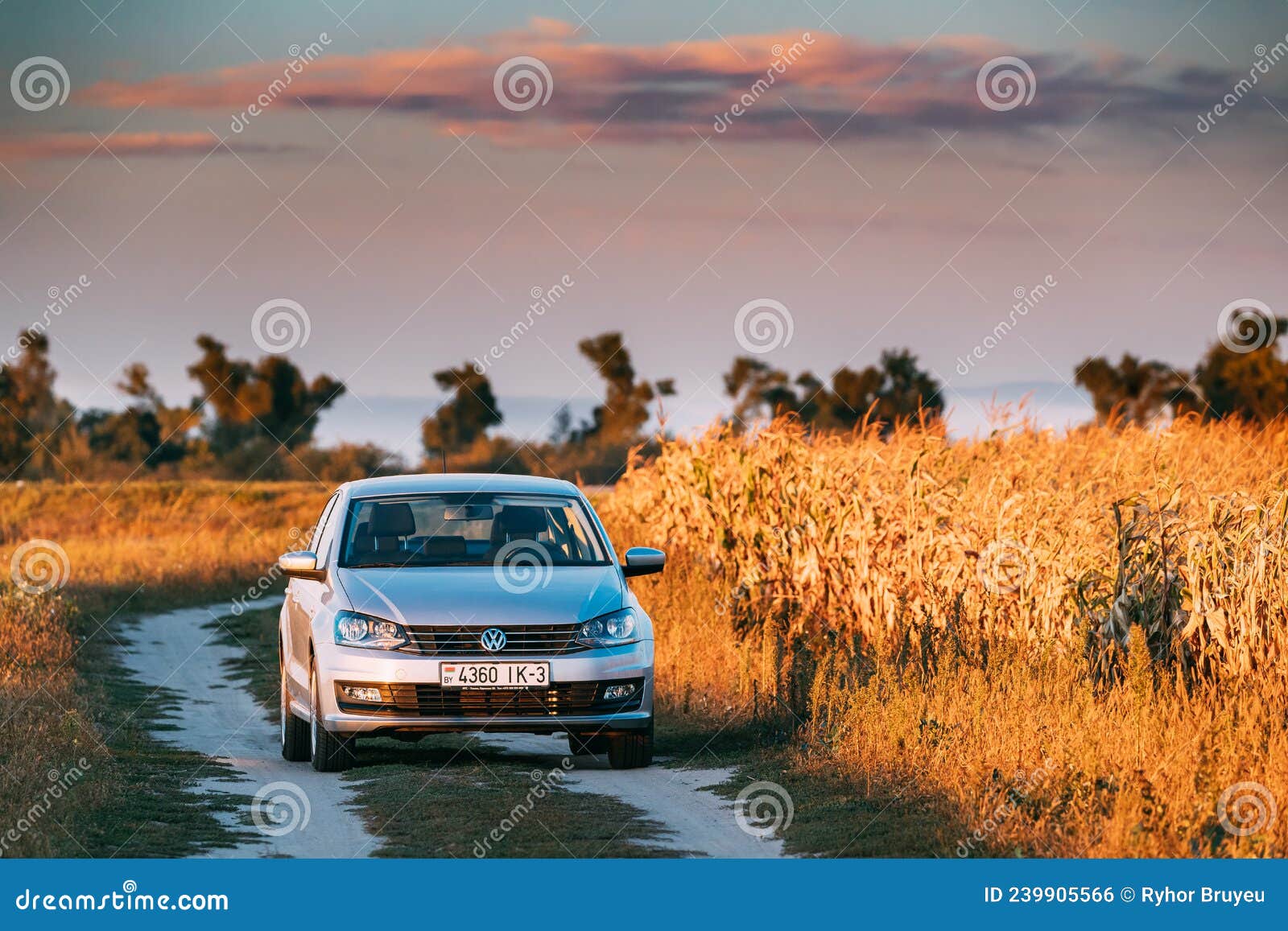 Volkswagen Polo Car Sedan Parking Near Country Road in Autumn Field in ...