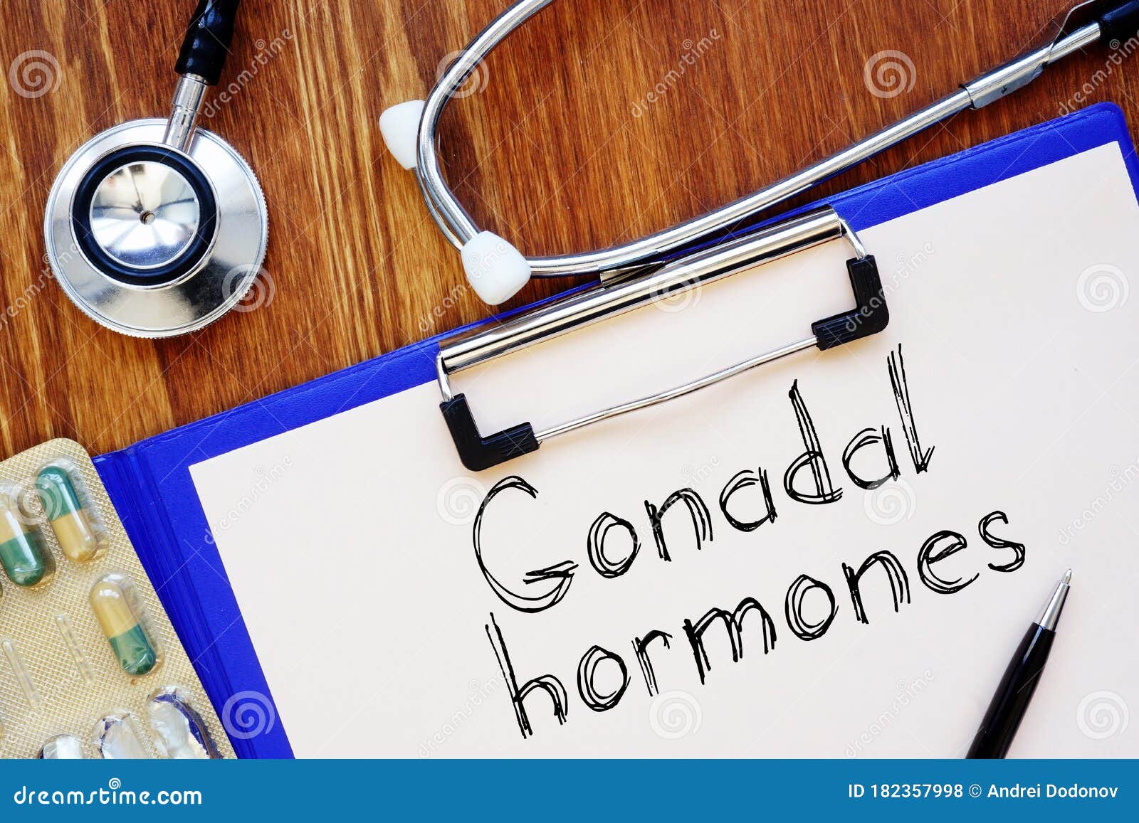 Gonadal Hormones is Shown on the Conceptual Medical Photo Stock Photo Biology Diagrams