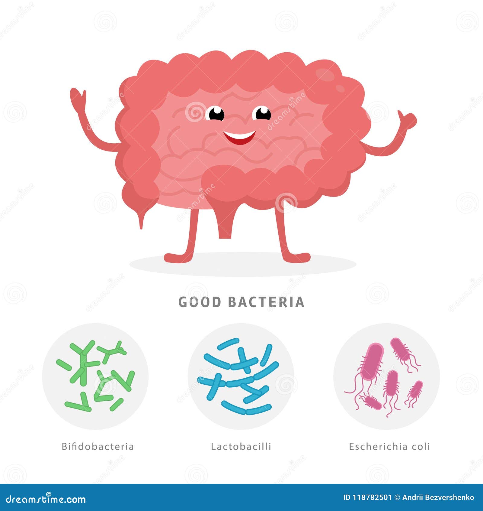 Gut Microbiome Cartoon