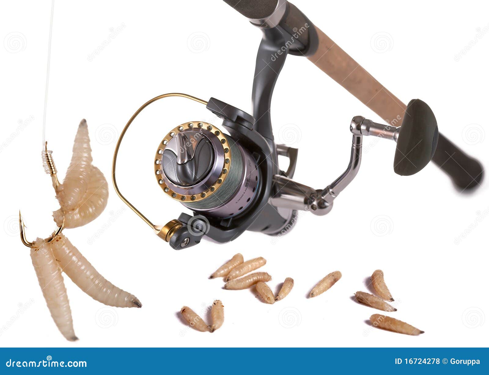 556 Bait Maggots Stock Photos - Free & Royalty-Free Stock Photos from  Dreamstime
