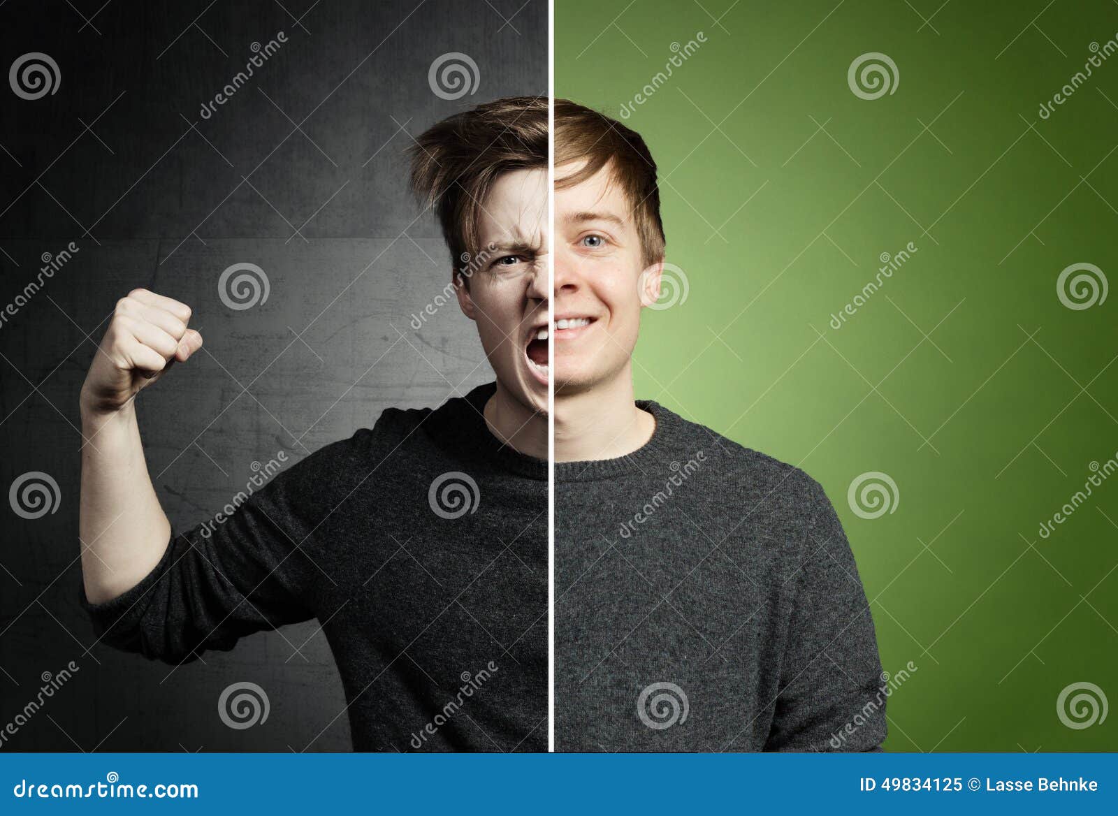 Good and Evil stock image. Image of angry, green, softie - 49834125