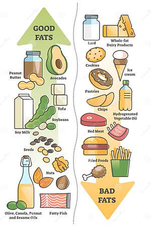 Good Fats Vs Bad Food For Healthy Diet And Nutritious Meal Outline Diagram Stock Vector