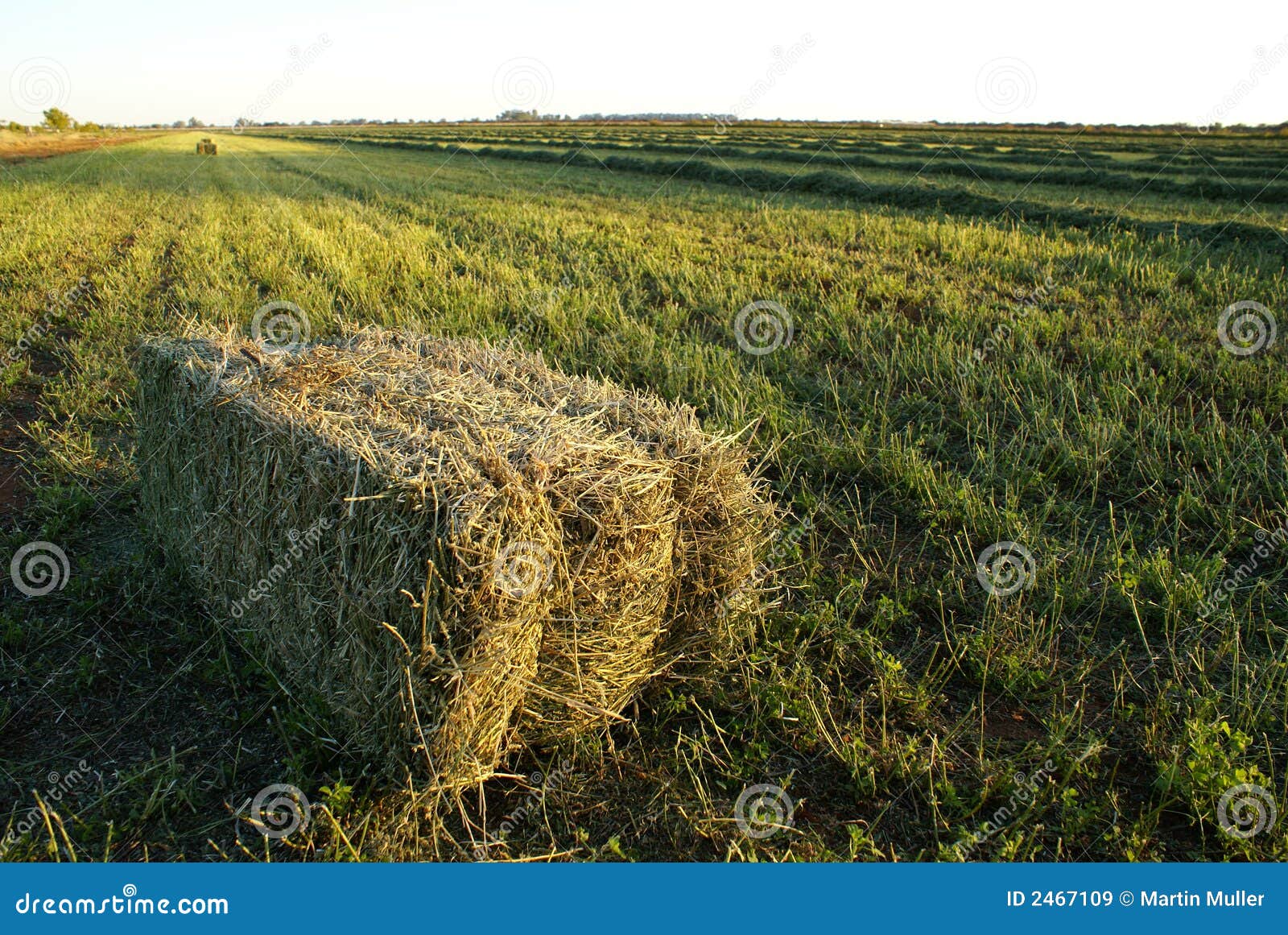 good harvest good harvest