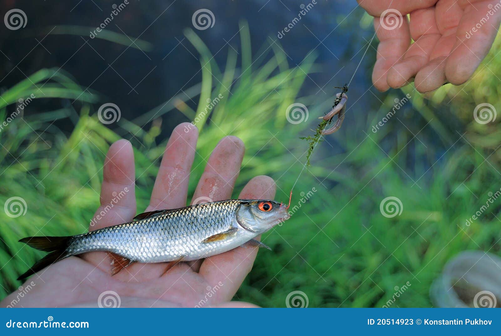 Good luck at fishing stock image. Image of leisure, catching 20514923