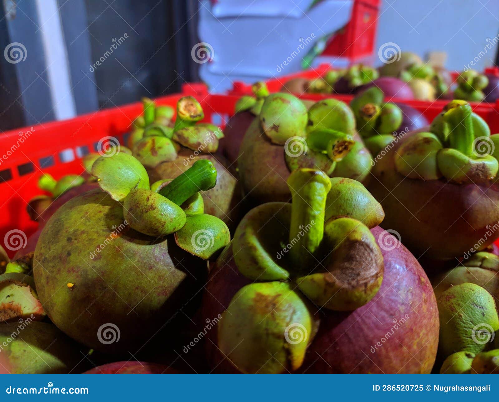 Good Mangosteen Fruit Native To Indonesia Stock Image Image of fruit