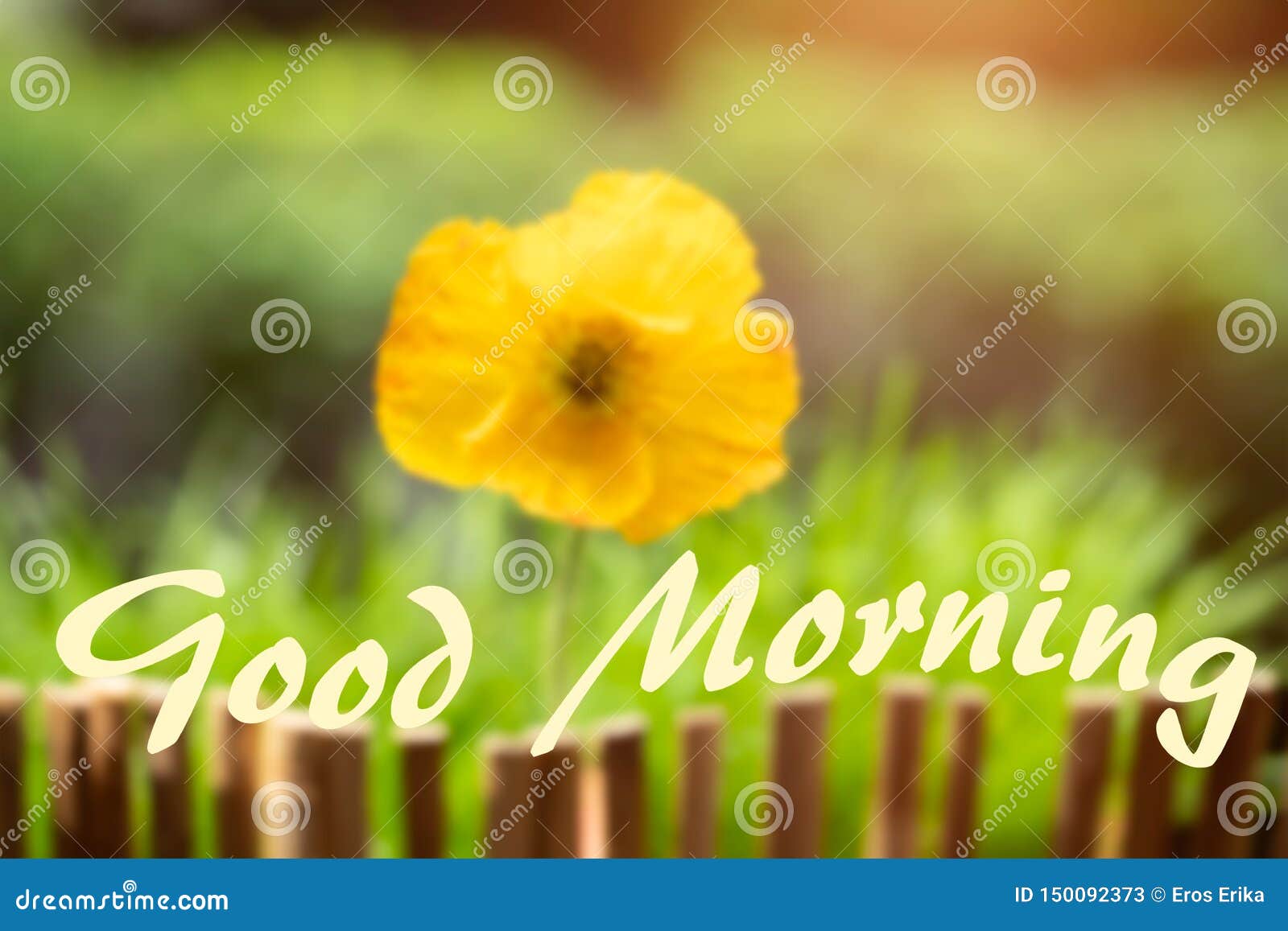 Good Morning Message on a Fresh Floral Background Stock Image ...