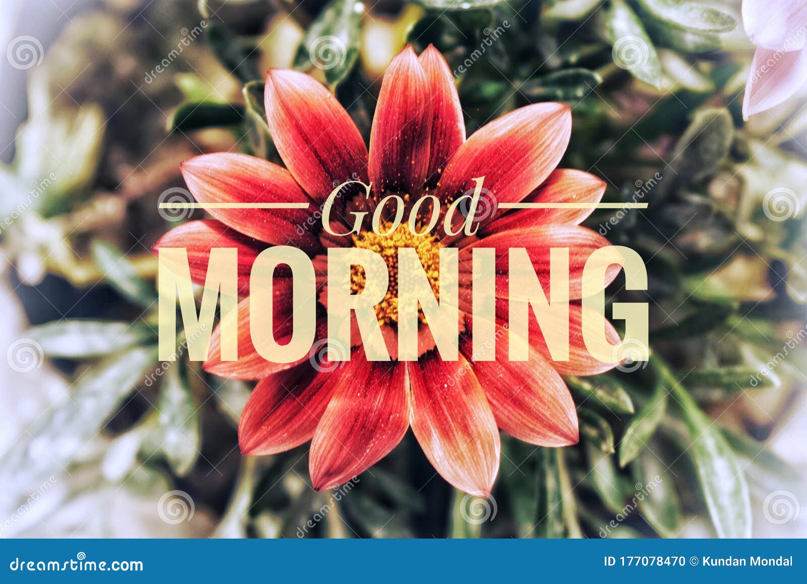A Good Morning Message To All of Our Friends Stock Photo - Image ...